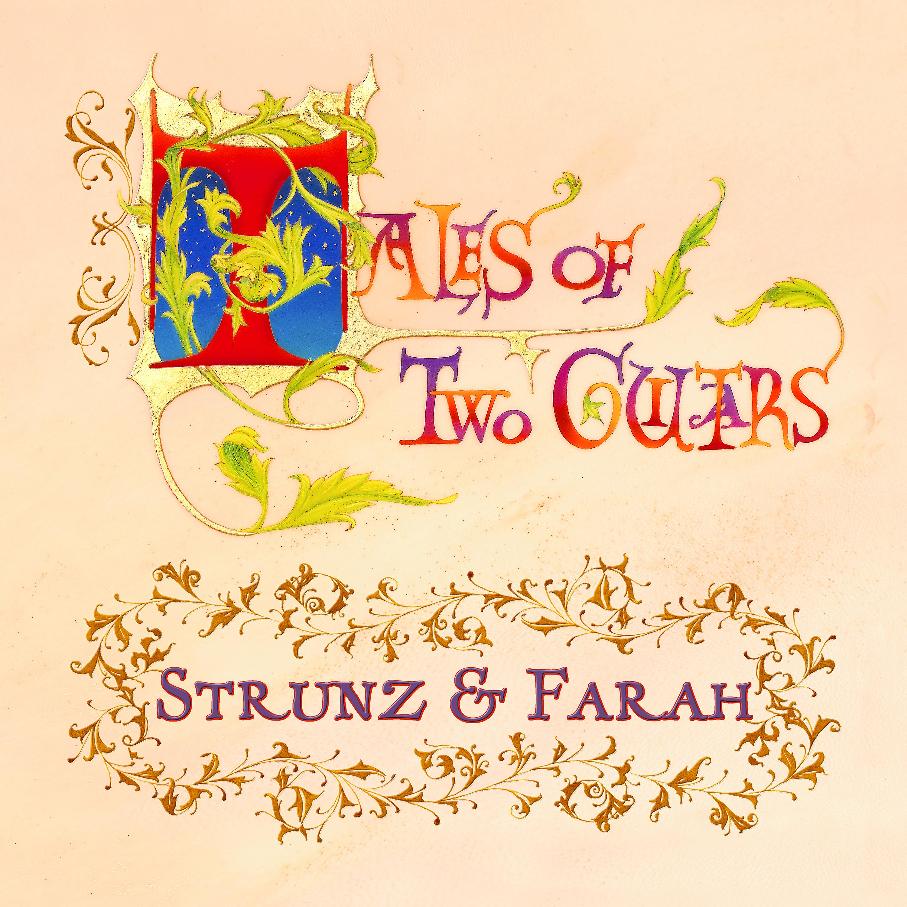 Постер альбома Tales of Two Guitars