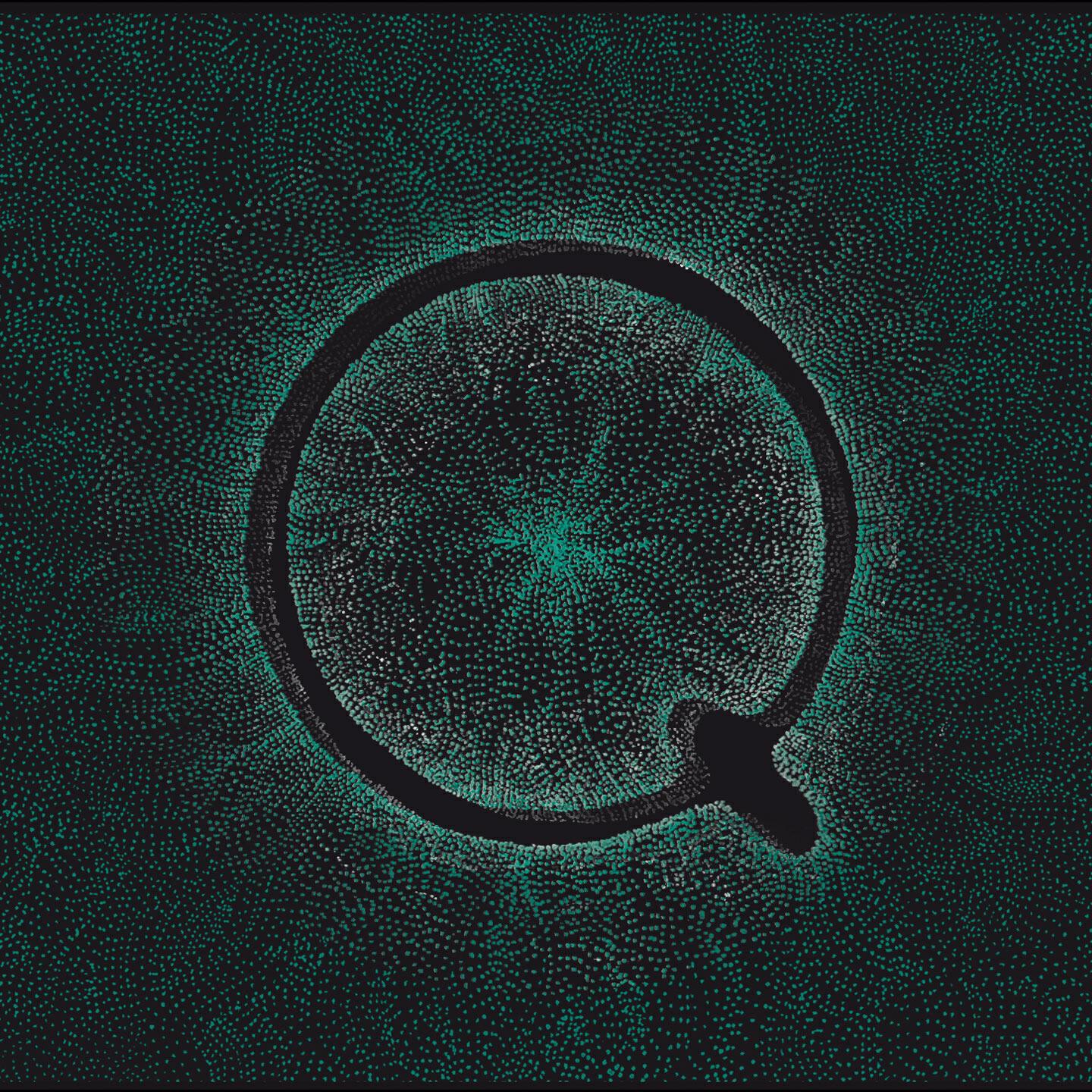 Q - Plante (Part 2)