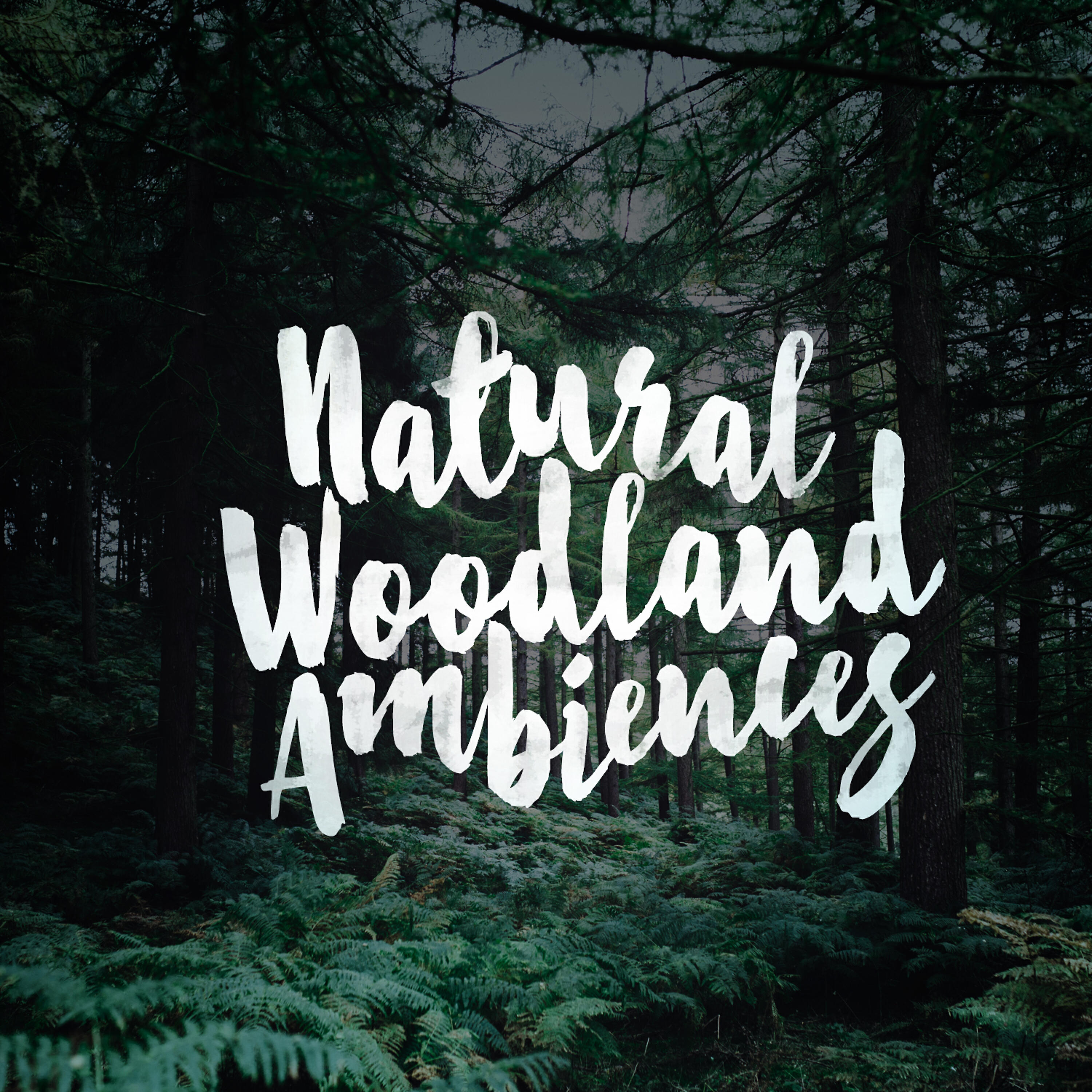 Nature Sounds 2015 - Runnel Birdsong