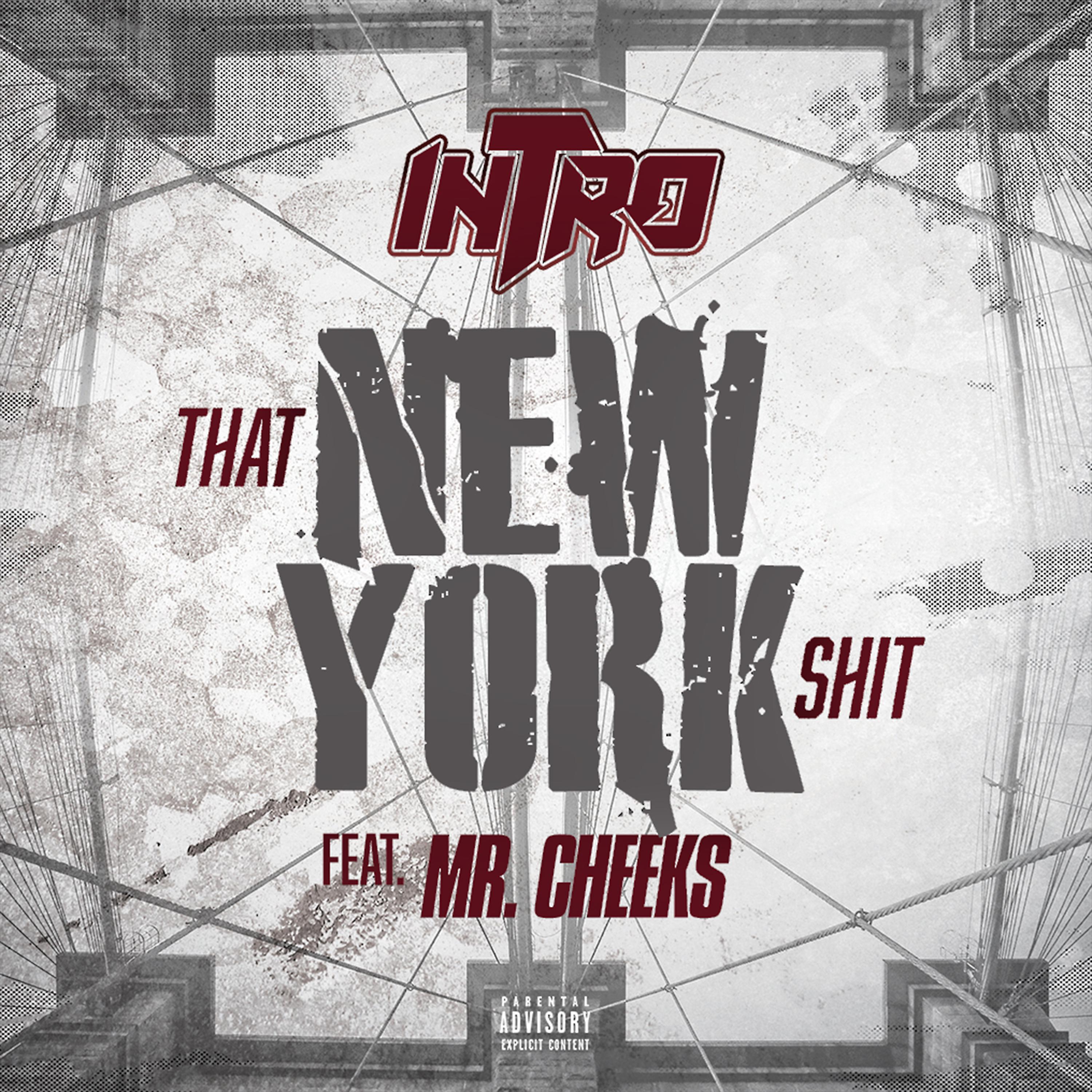 Постер альбома That New York Shit