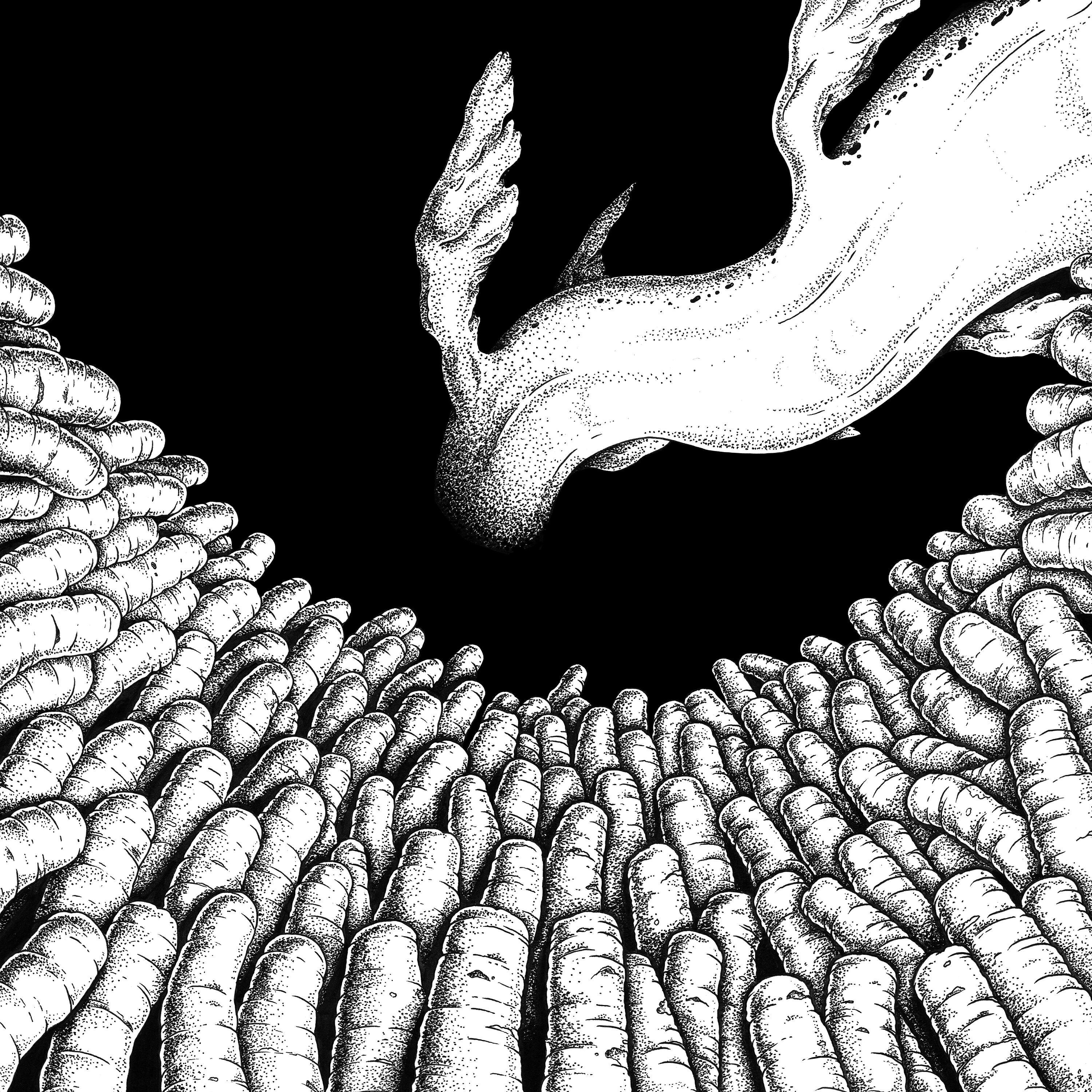 Body Origami - A Moving Swamp