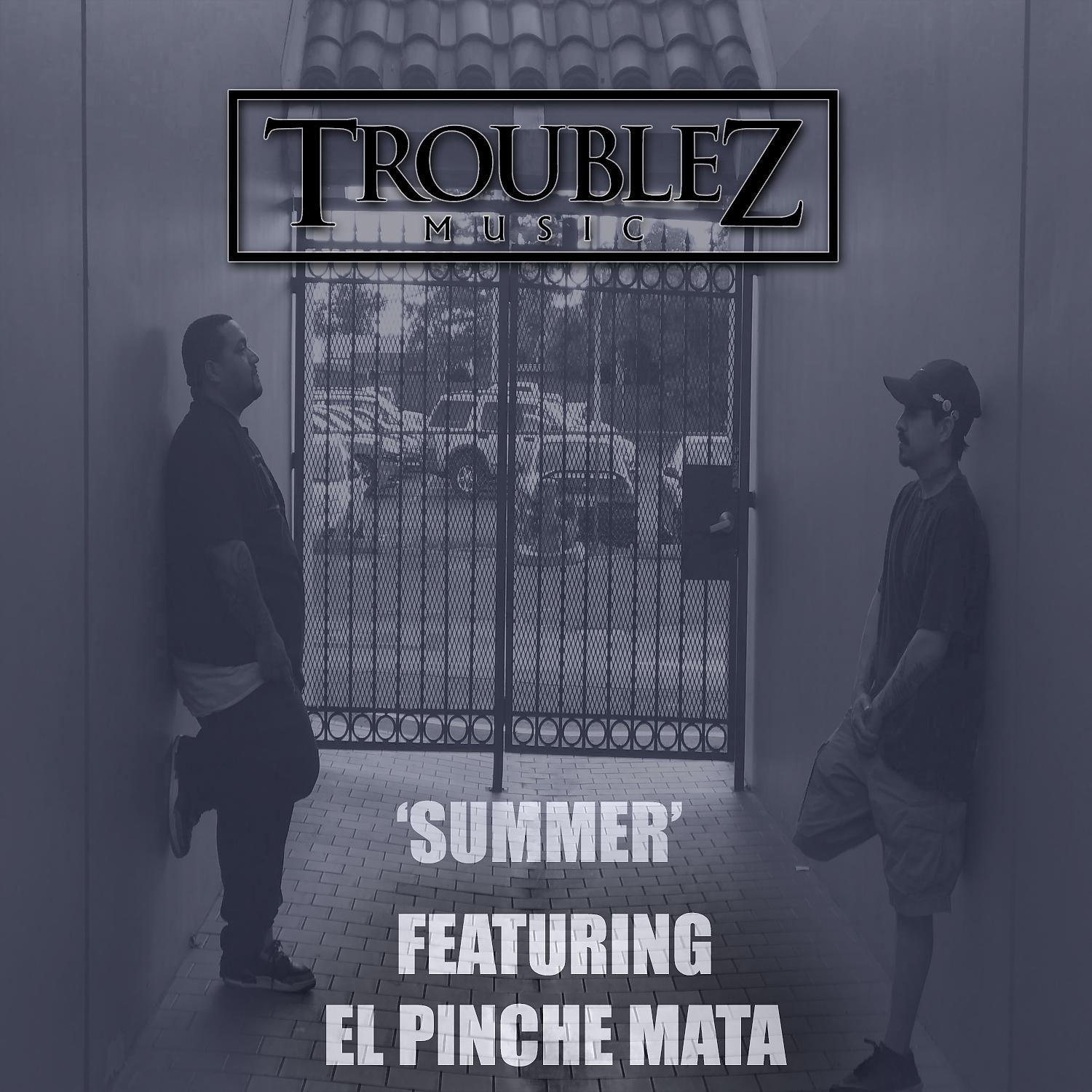 Постер альбома Summer (feat. El Pinche Mata)
