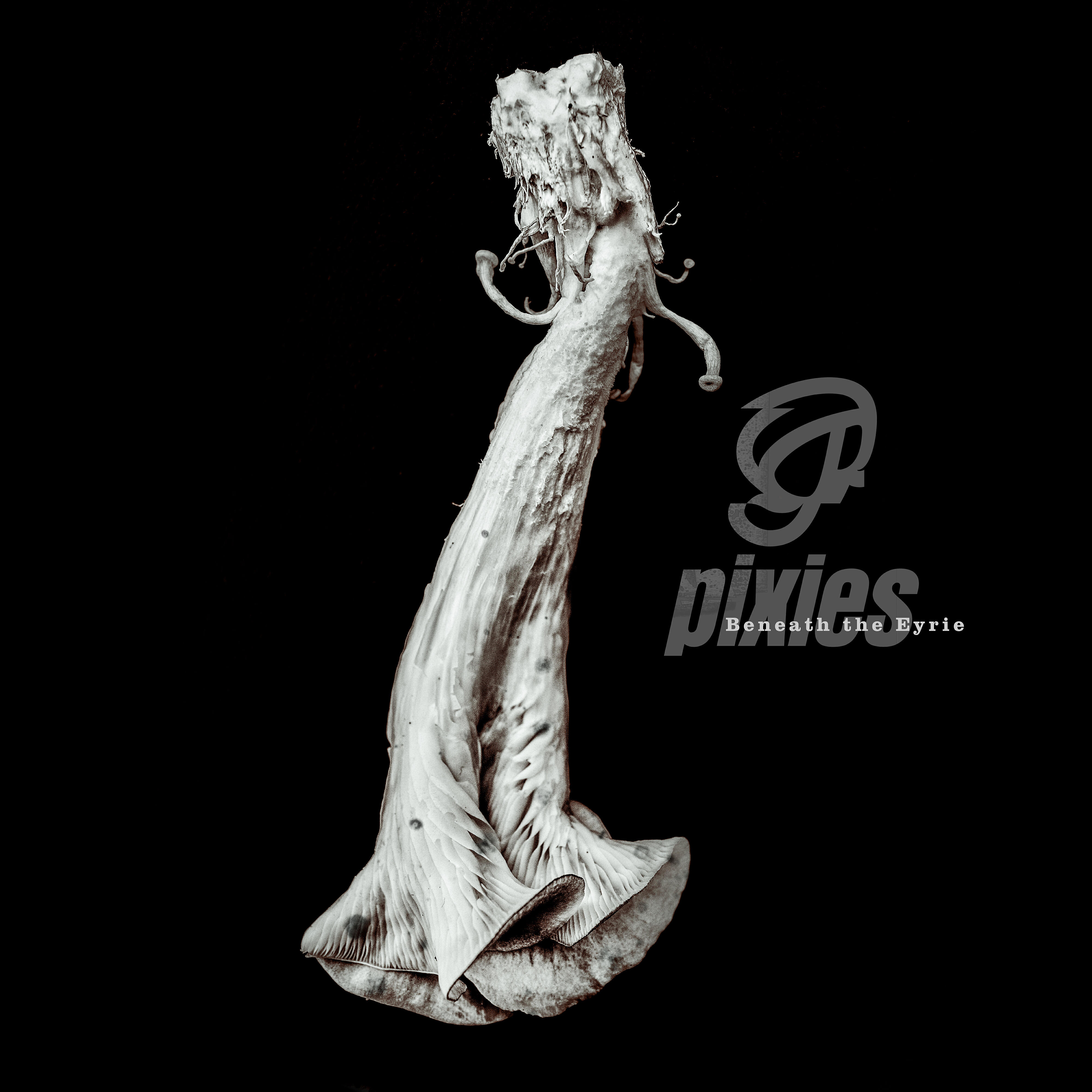 PIXIES - On Graveyard Hill