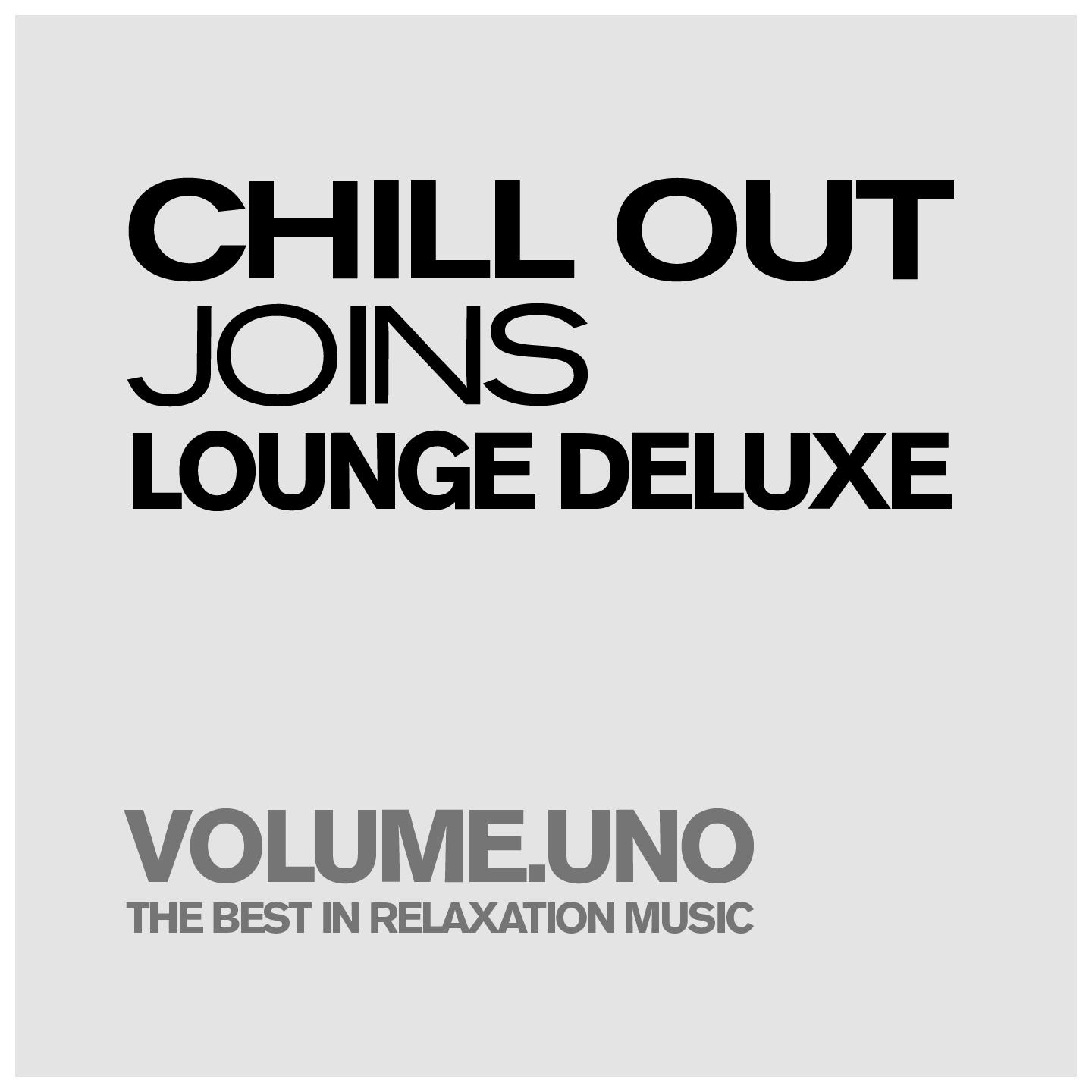 Постер альбома Chill Out Joins Lounge Deluxe, Volume.uno (The Best In Pure Relaxation & Smooth Music)