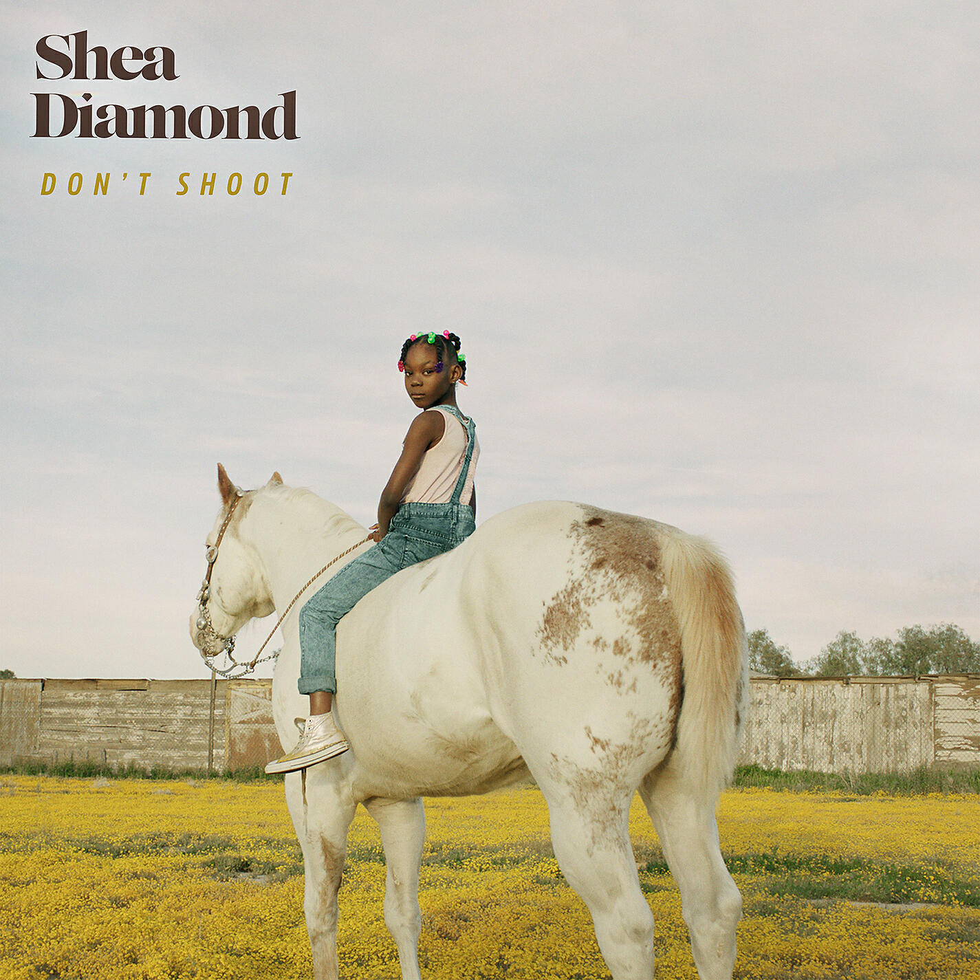 Shea Diamond - Don't Shoot