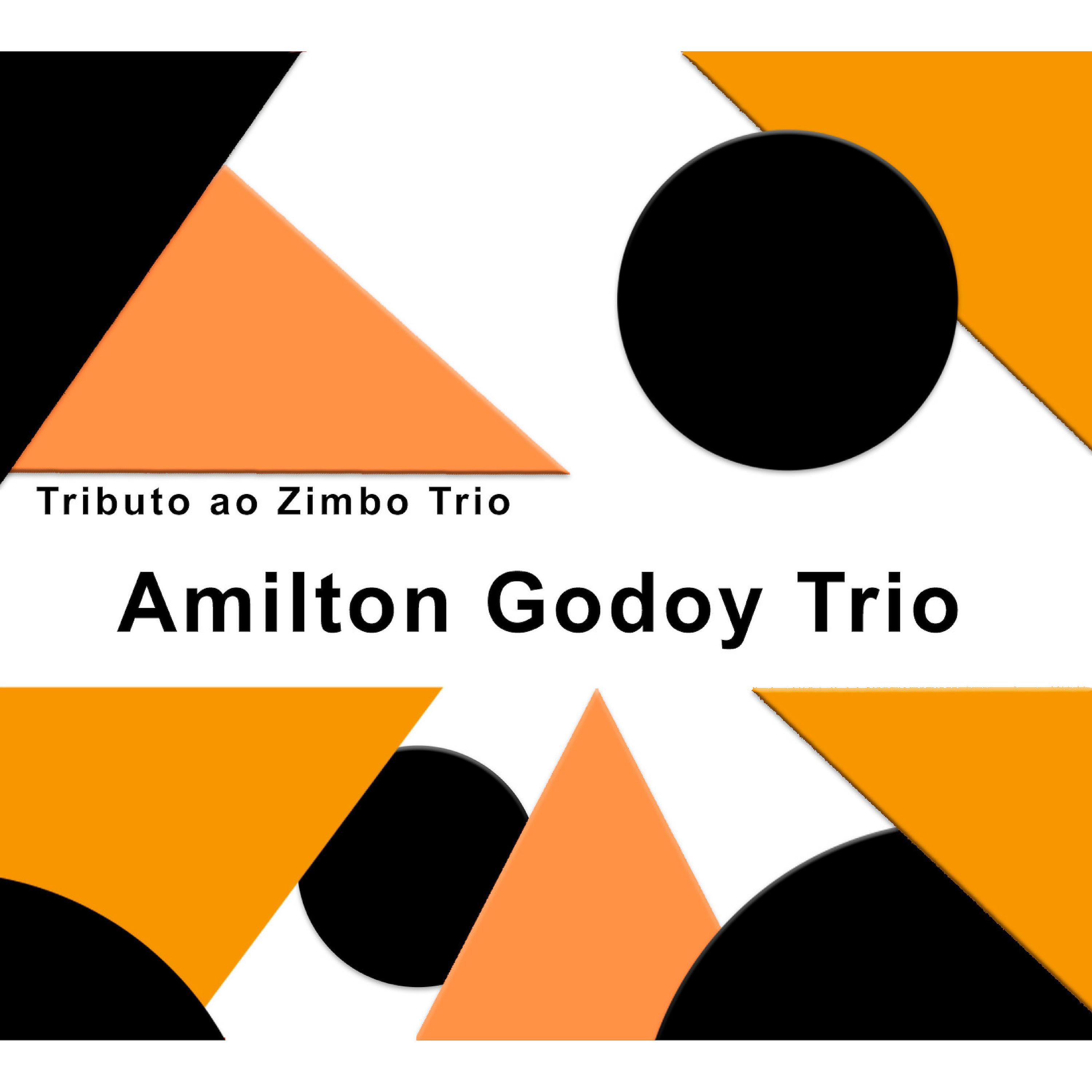 Постер альбома Tributo Ao Zimbo Trio