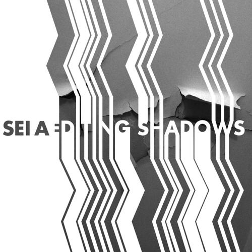 Постер альбома Editing shadows