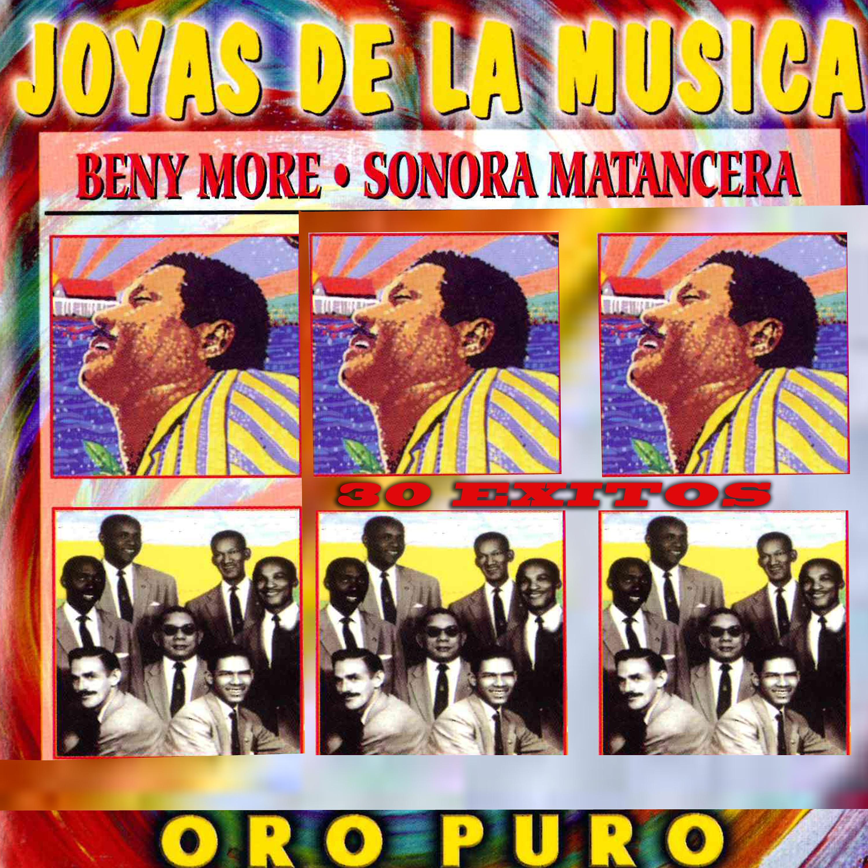 Постер альбома Joyas de la Musica 30 Exitos Oro Puro