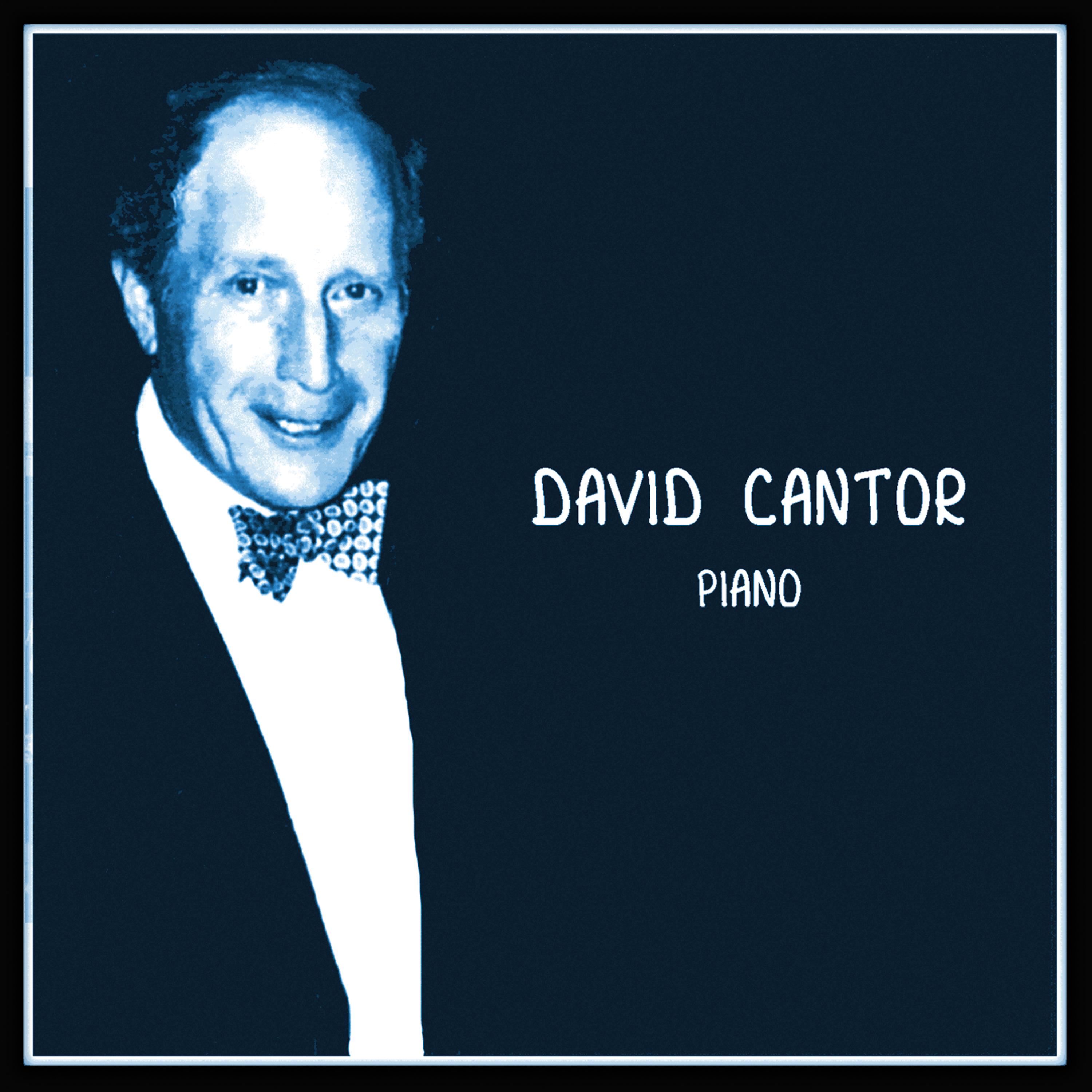 Постер альбома David Cantor - Piano