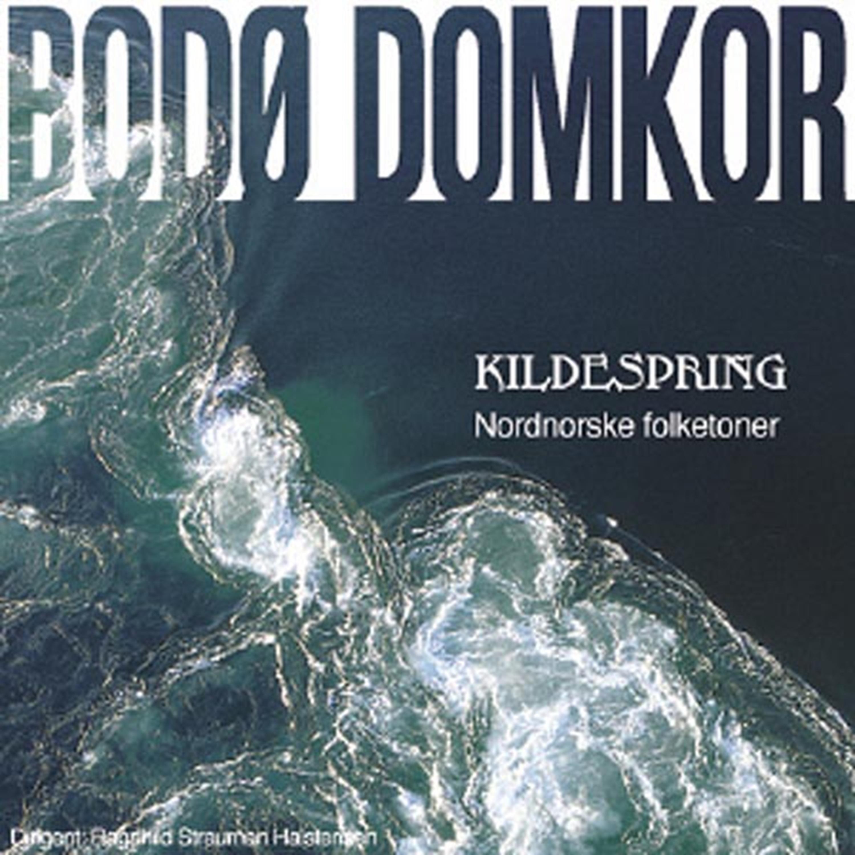 Постер альбома Kildespring Nordiske Folketoner