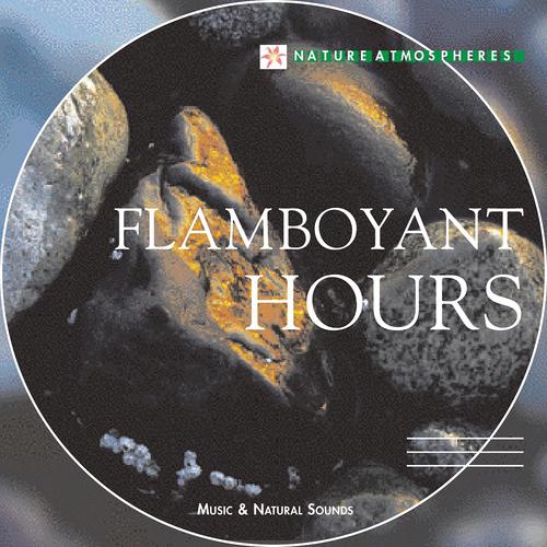 Постер альбома Nature Atmosphere: Flamboyant Hours