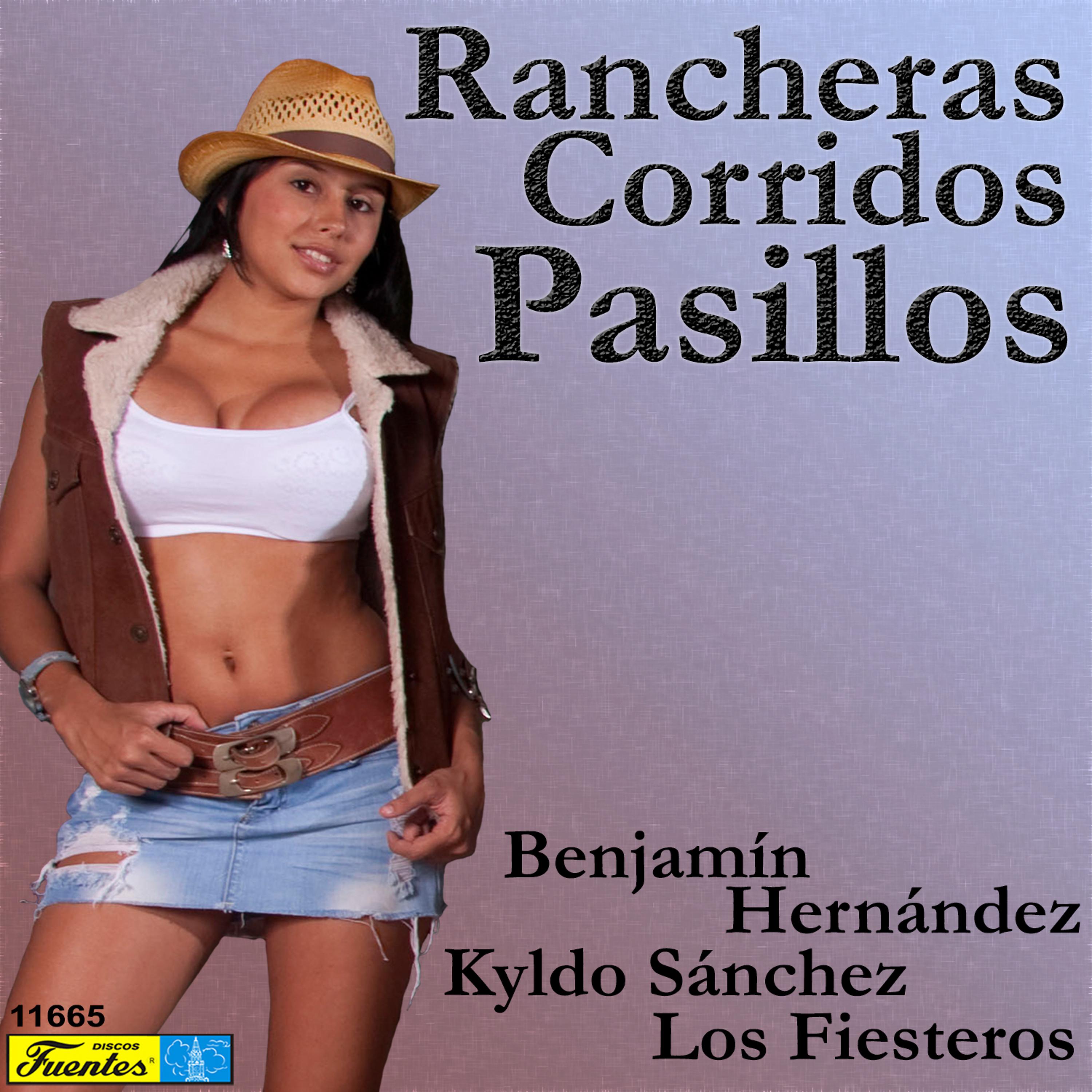 Постер альбома Rancheras, Corridos y Pasillos