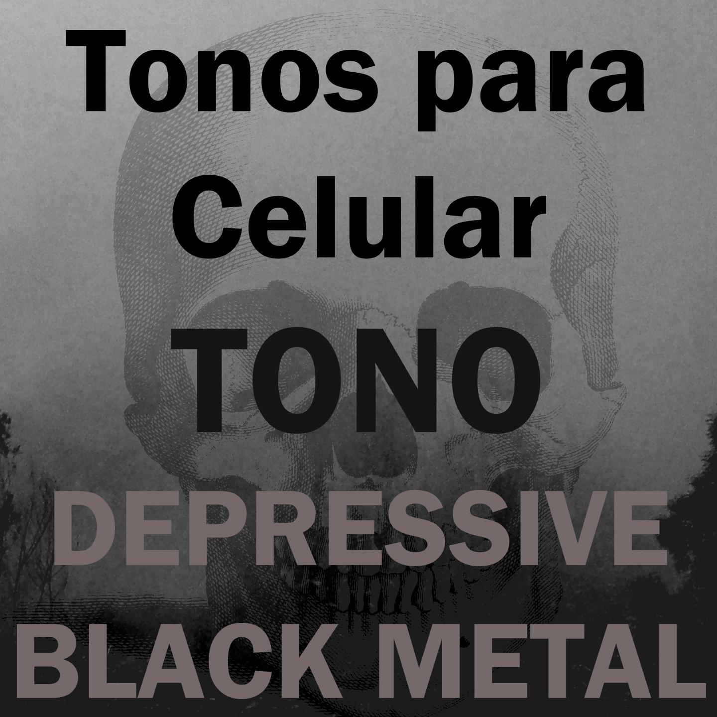 Постер альбома Tono Depressive Black Metal