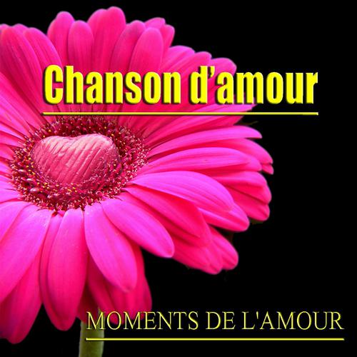 Постер альбома Chanson d'amour / Moments de l'amour