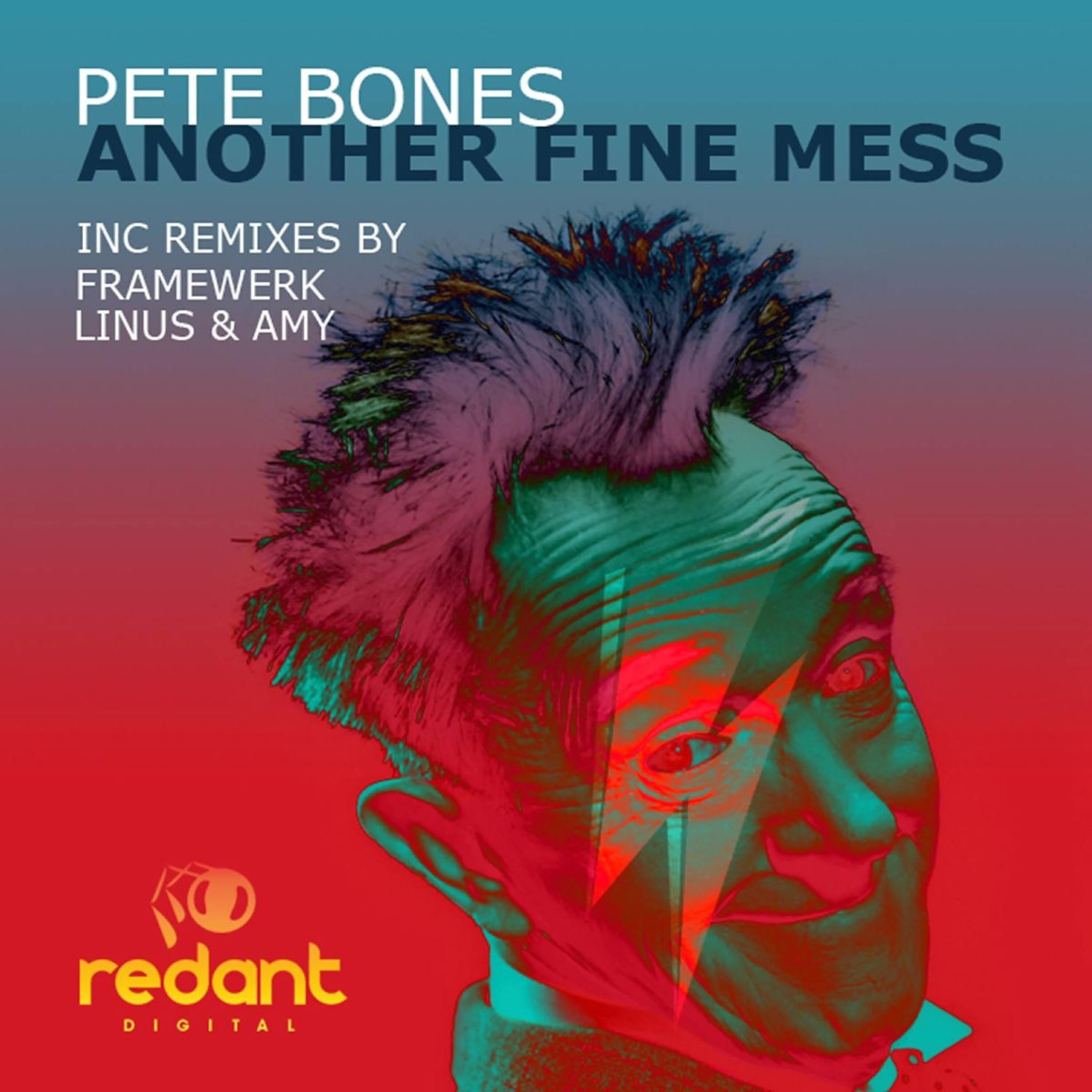 Pete Bones - Another Fine Mess (Linus & Amy Remix)
