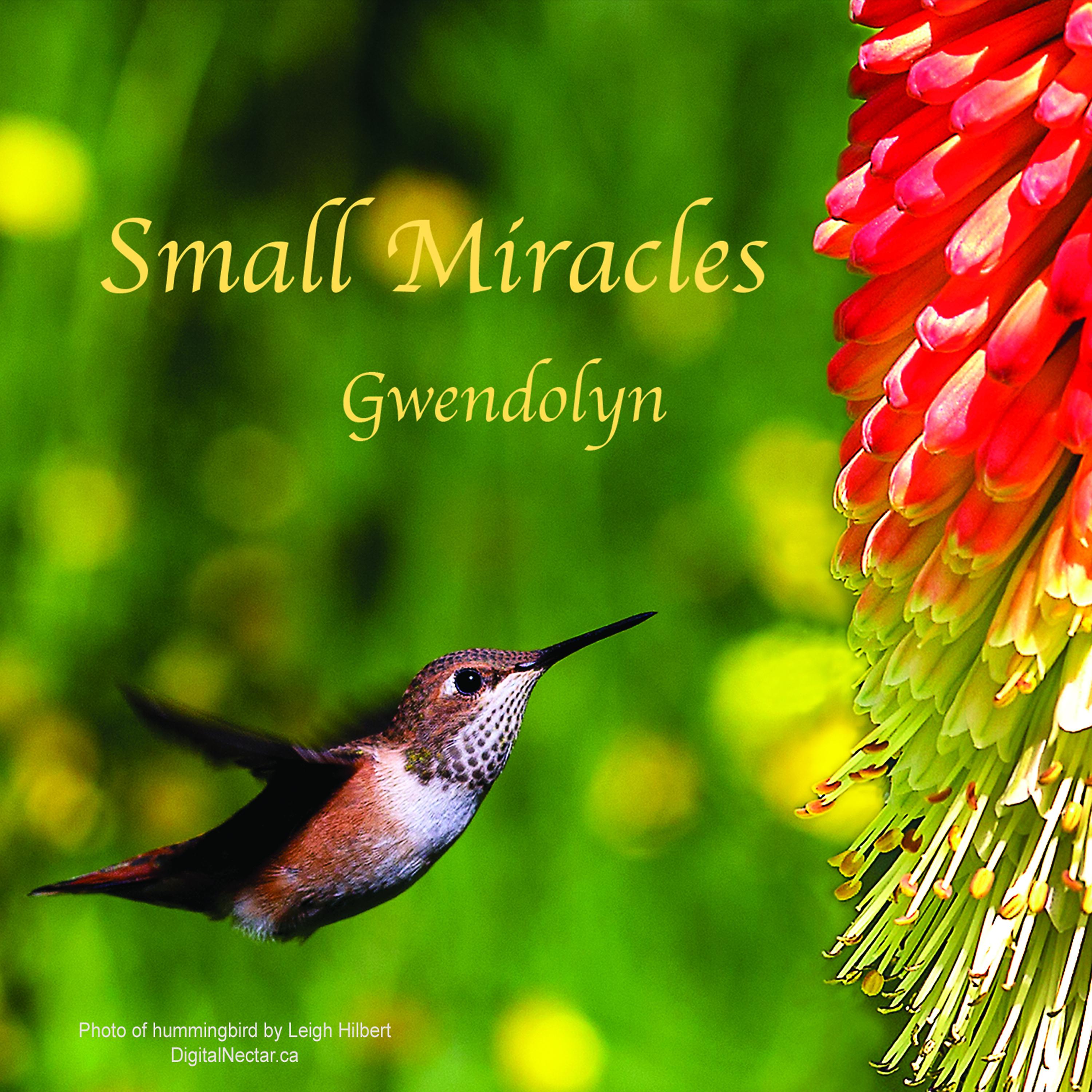 Постер альбома Small Miracles