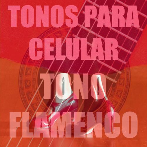 Постер альбома Tono Flamenco