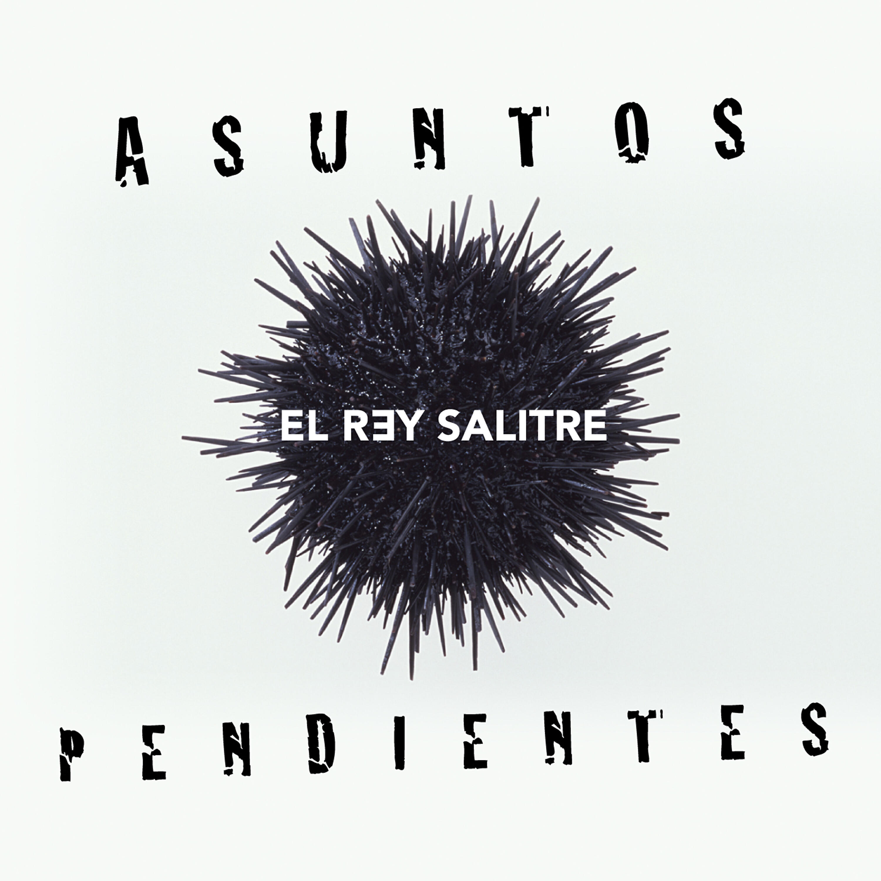 El Rey Salitre - Caballos Salvajes