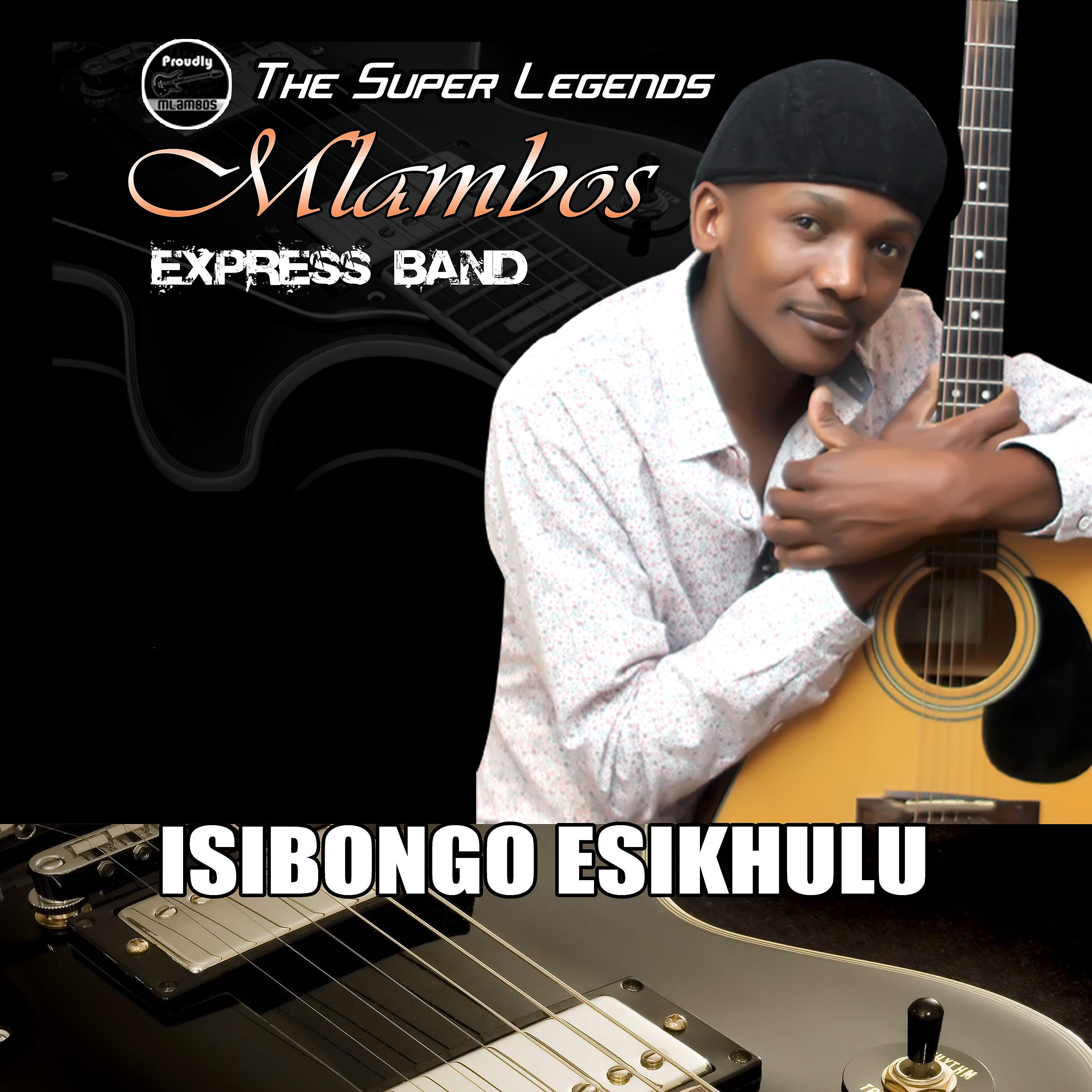 Постер альбома Isibongo Esikhulu