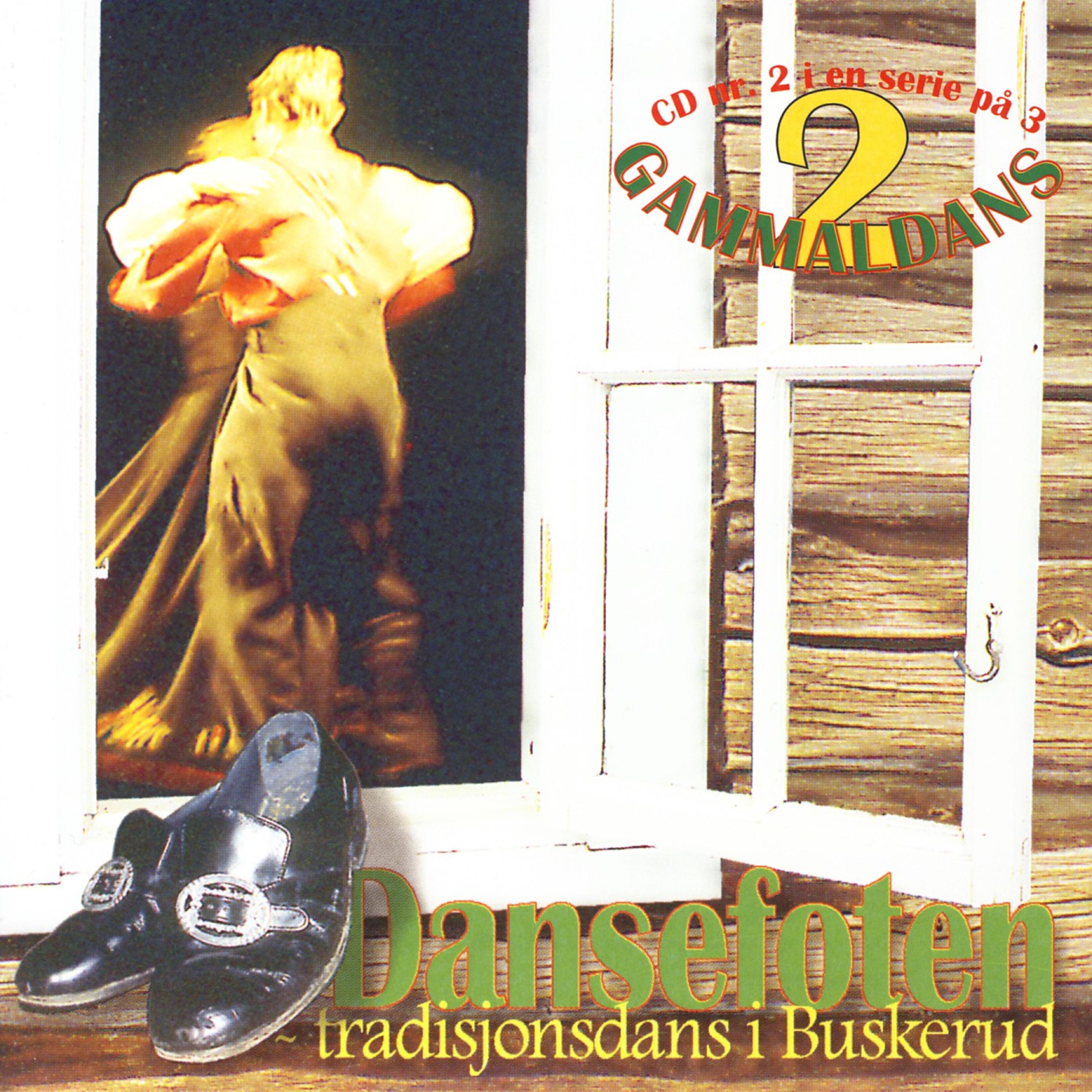 Постер альбома Dansefoten Tradisjonsdans I Buskerud - Gammaldans, 2