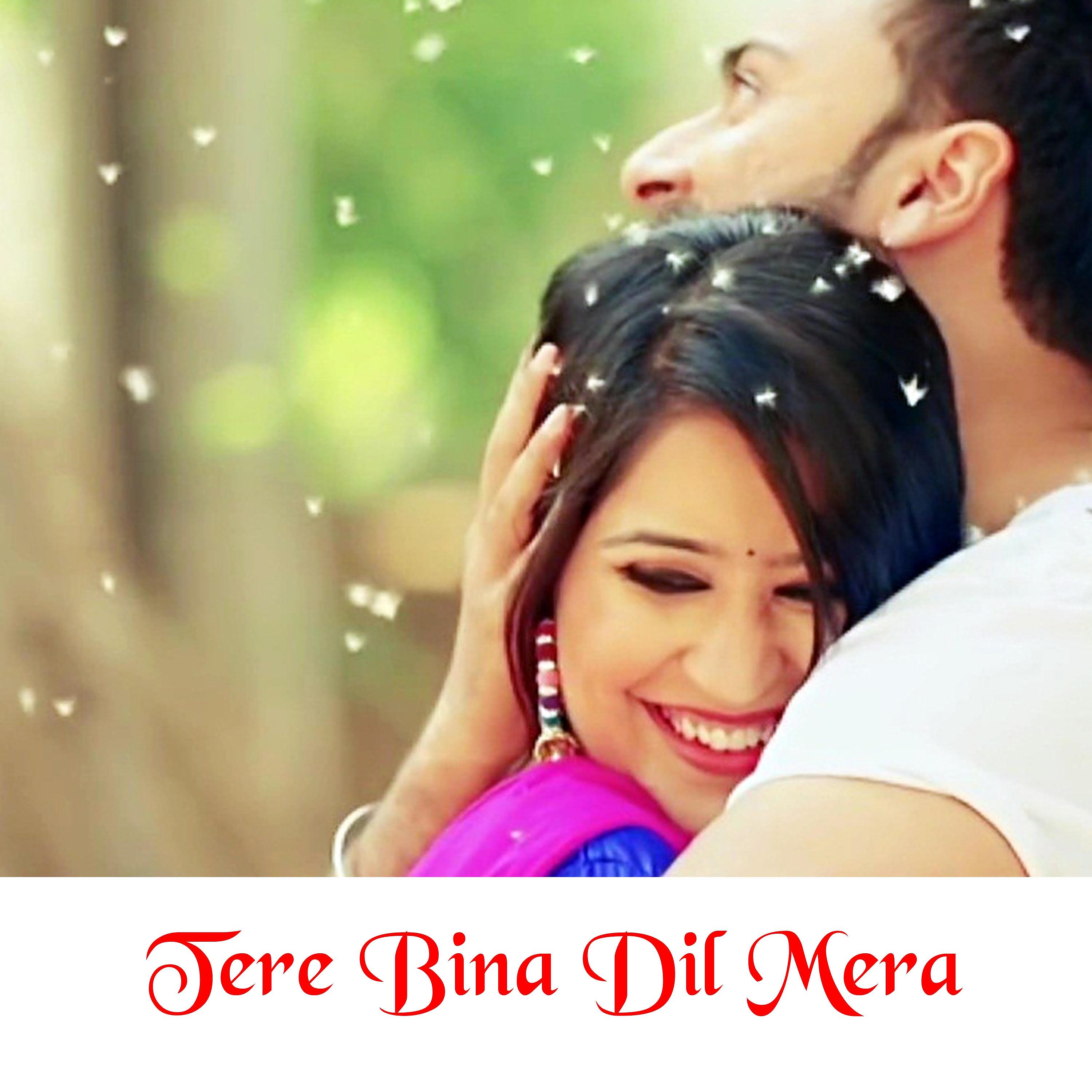 Постер альбома Tere Bina Dil Mera
