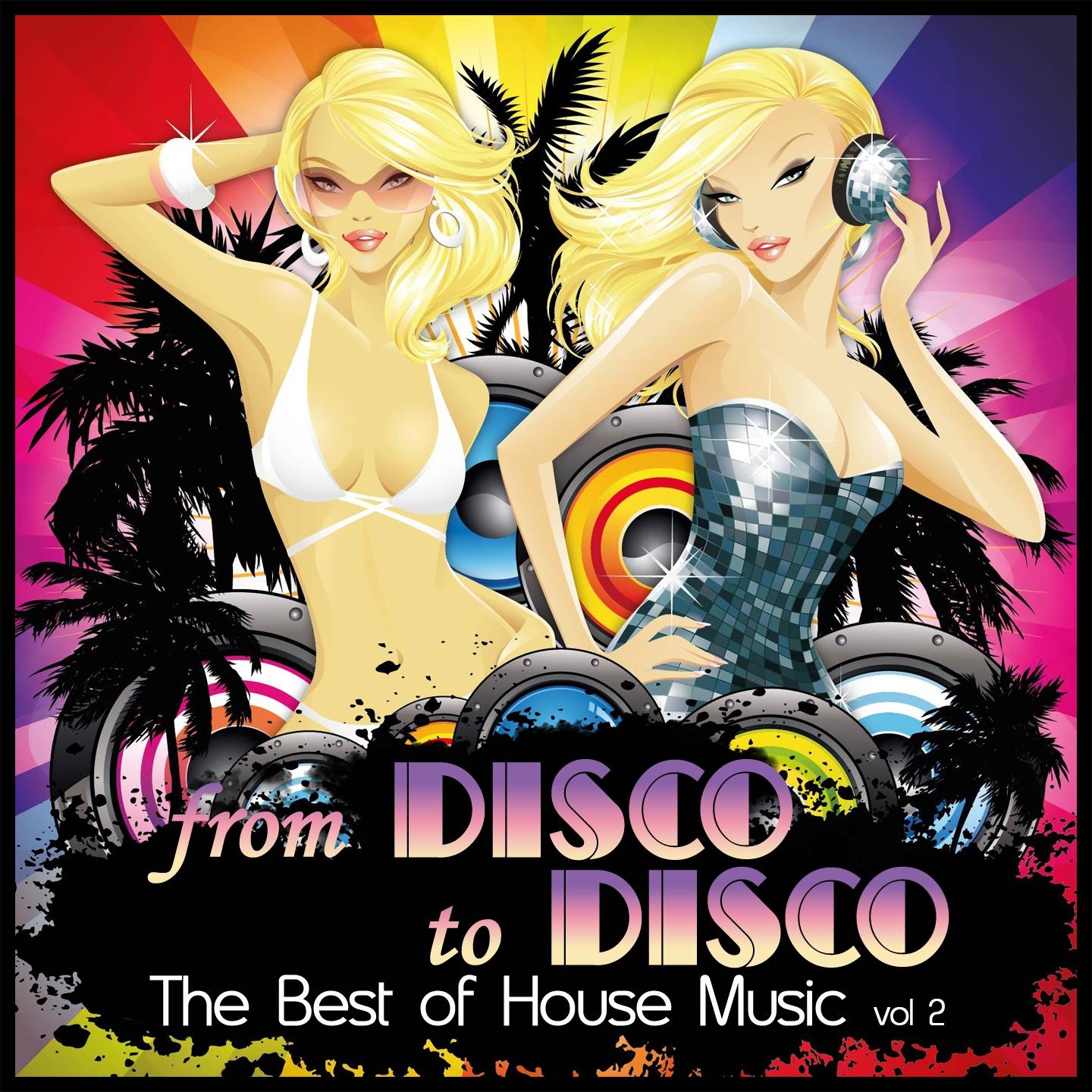 Постер альбома From Disco to Disco : The Best of House Music, Vol. 2
