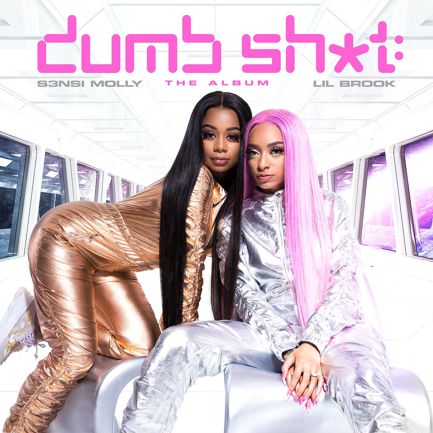 Постер альбома Dumb Sh*t: The Album