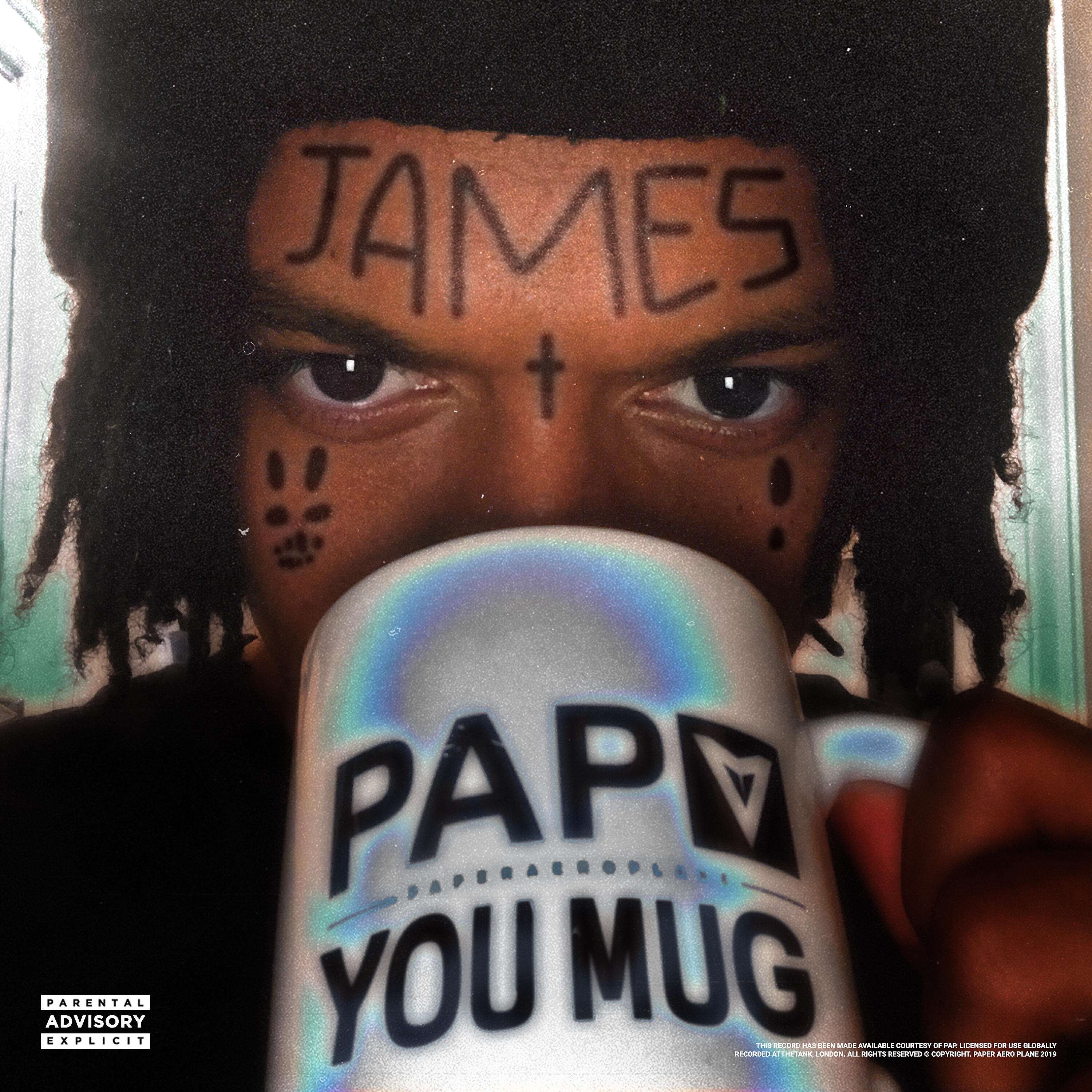 James Pyke - P.A.P You Mug