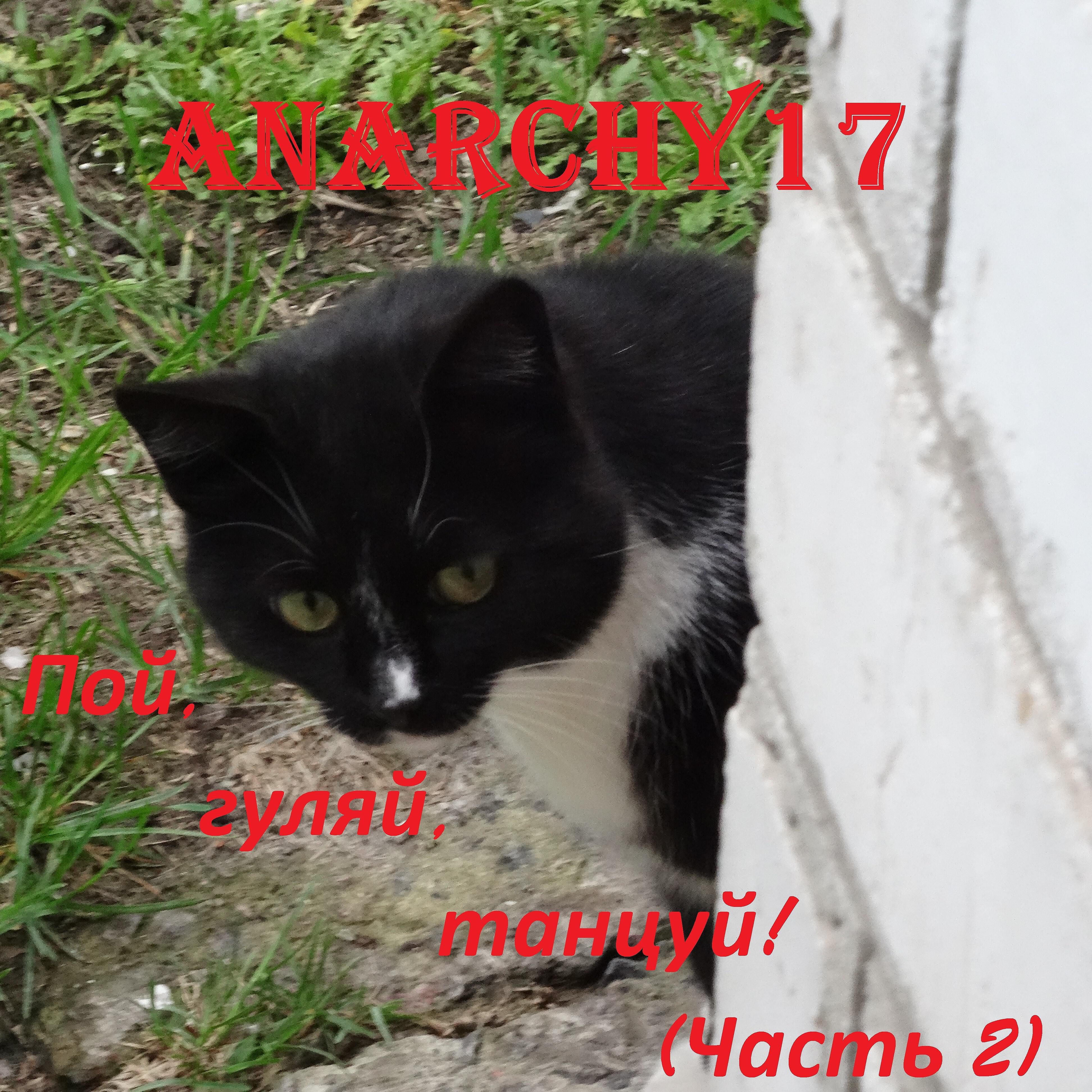 Anarchy17 - Интернет - поле битвы