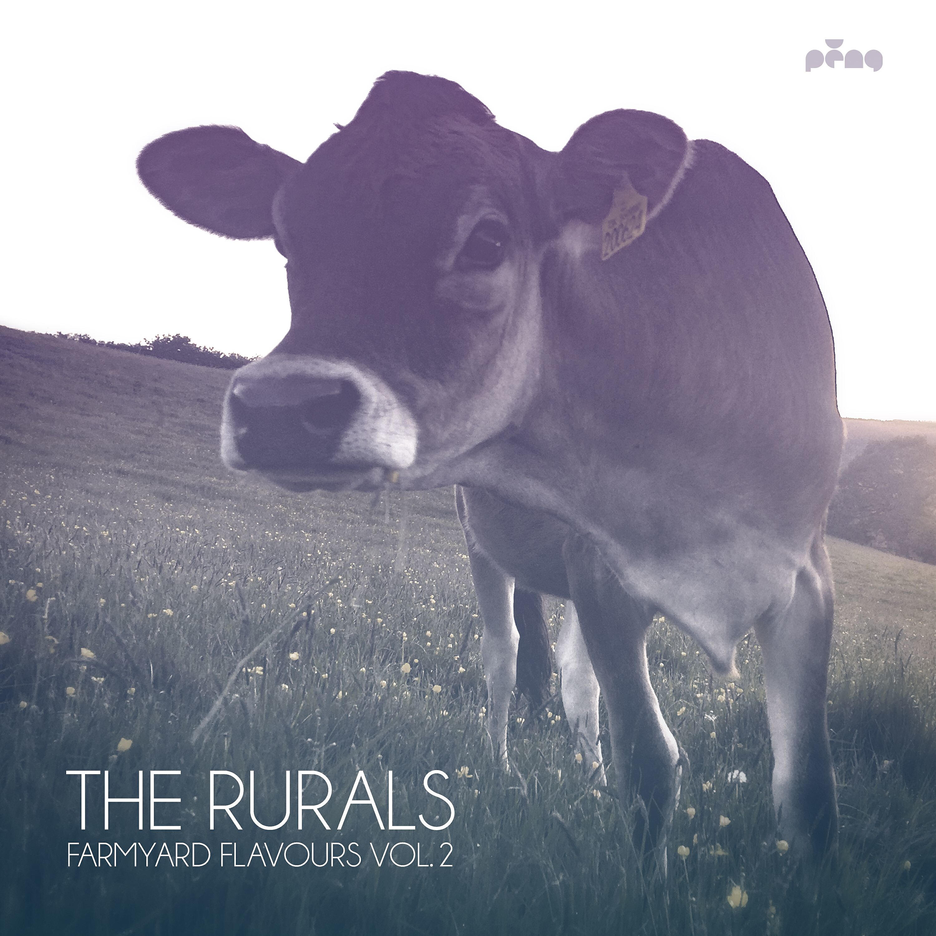 The Rurals - Saturate