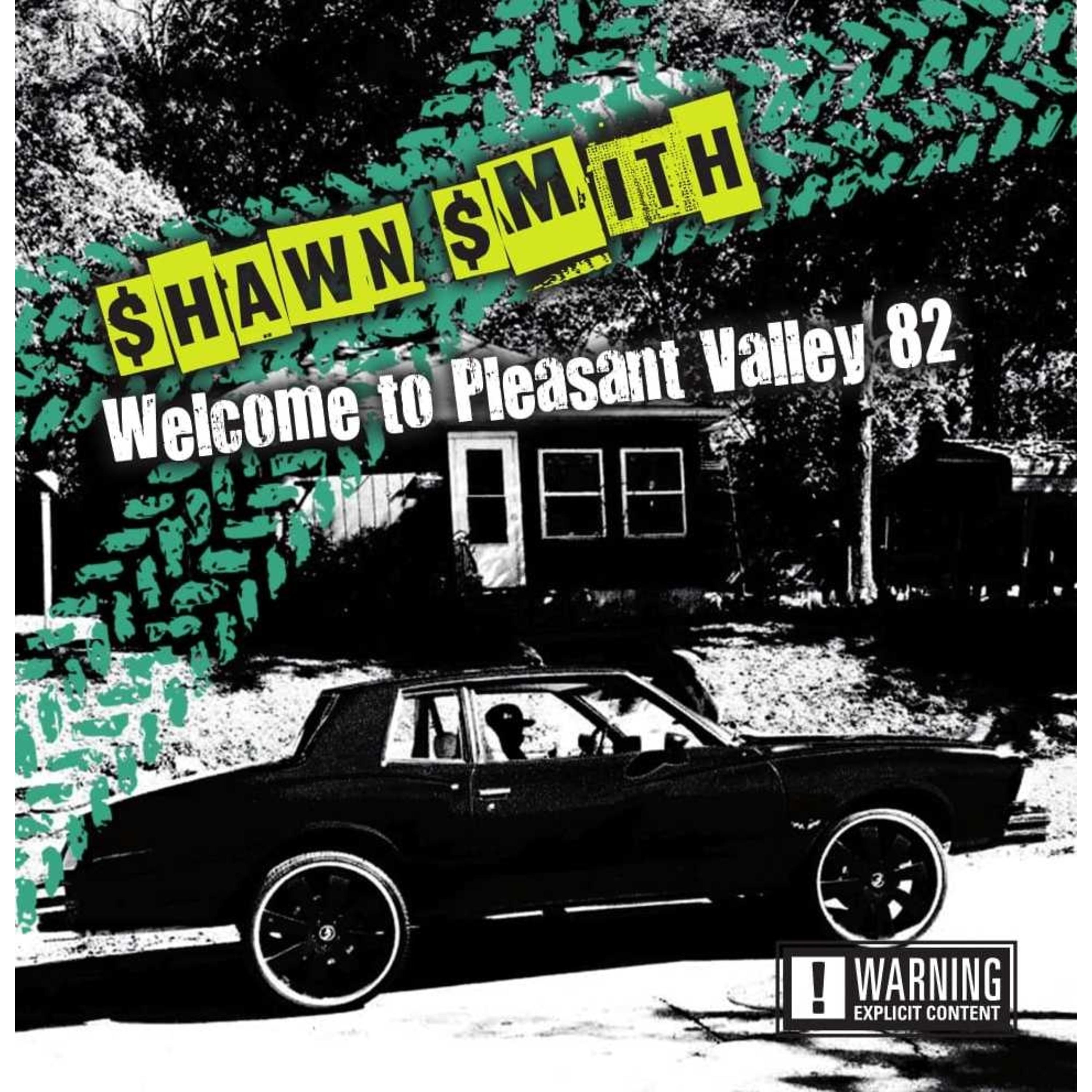 Постер альбома Welcome to Pleasant Valley 82