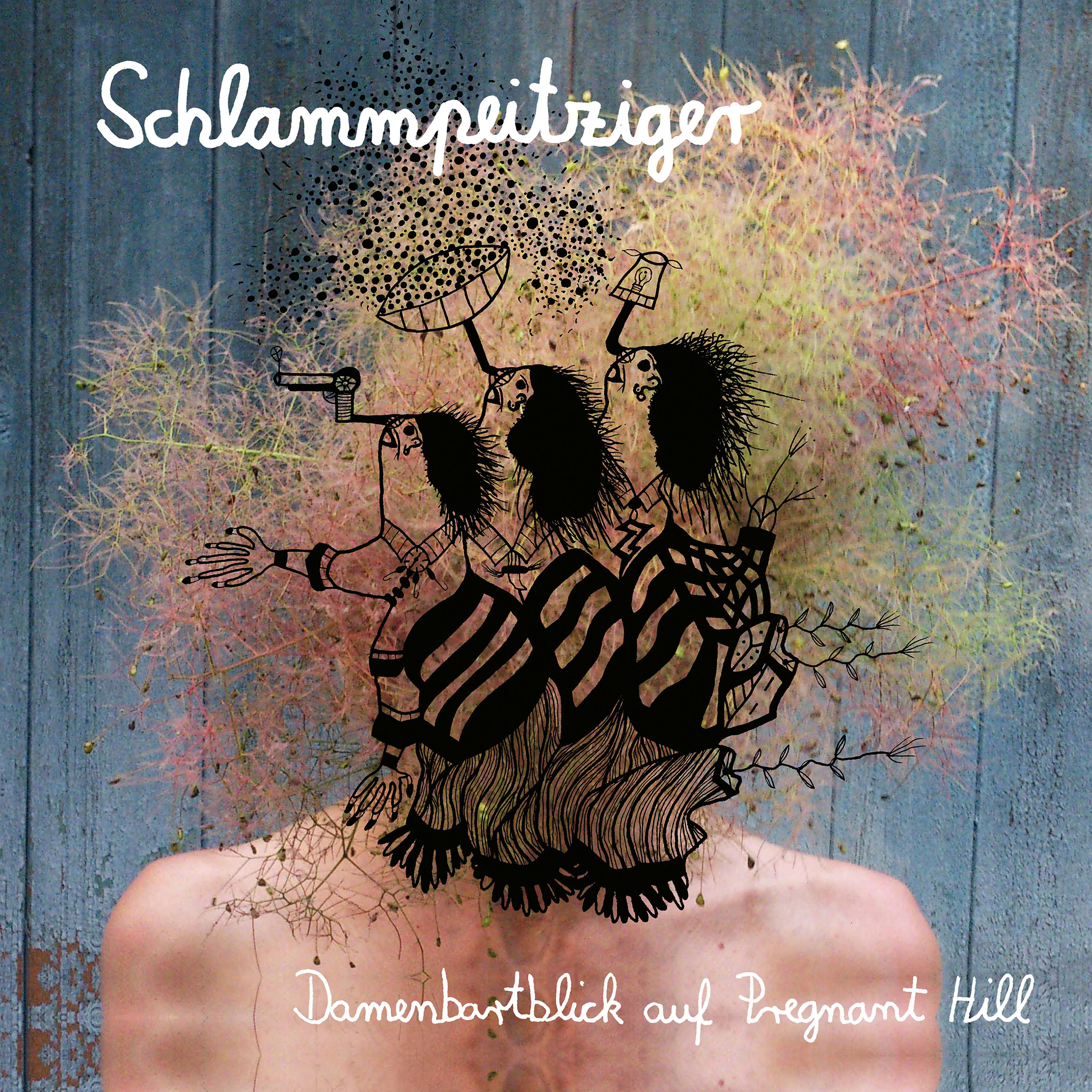 Постер альбома Damenbartblick auf Pregnant Hill