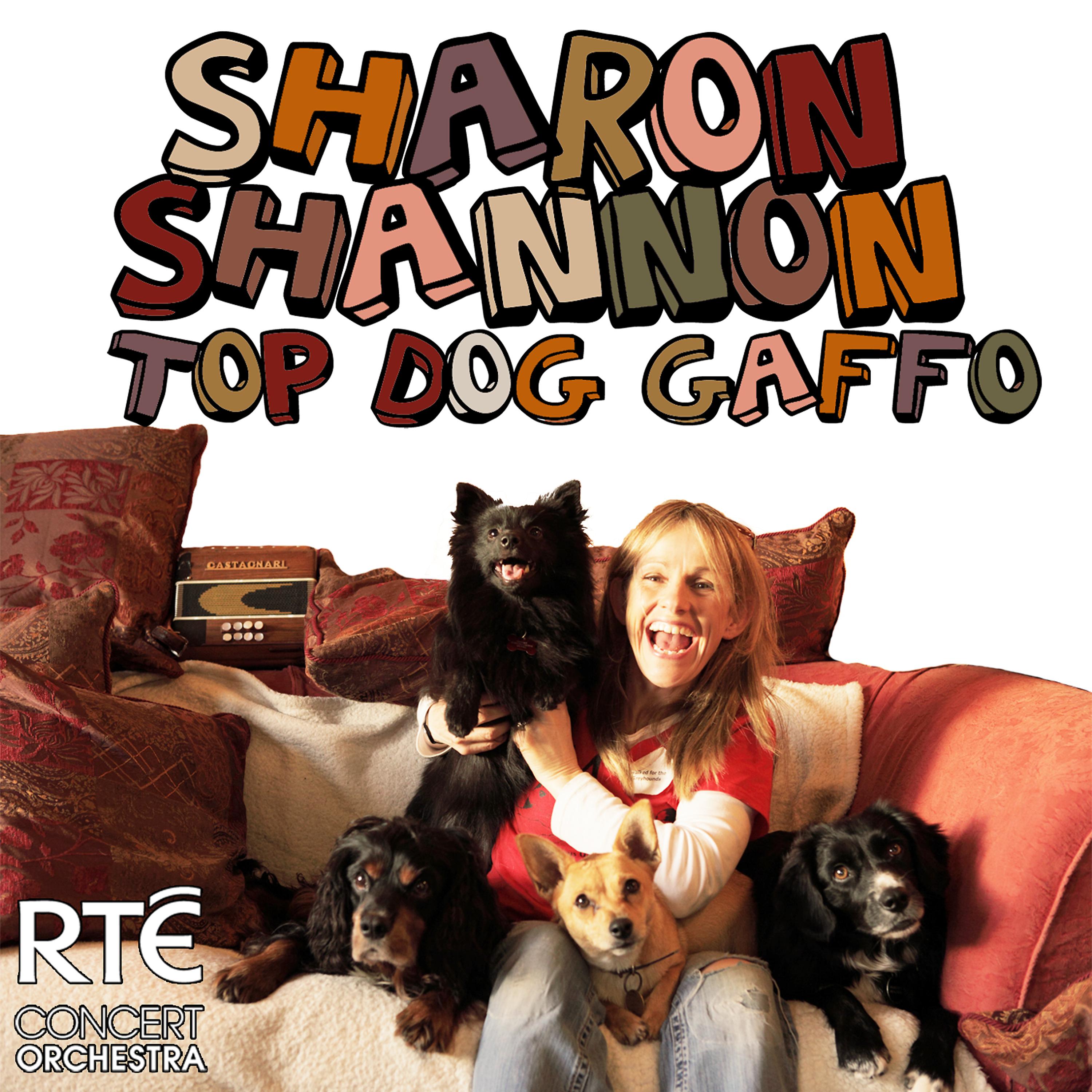 Sharon Shannon - Top Dog Gaffo (Live)