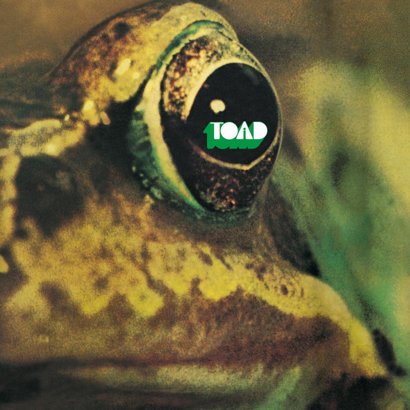 Постер альбома Toad