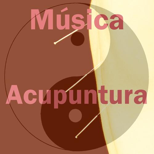Постер альбома Musica Acupuntura