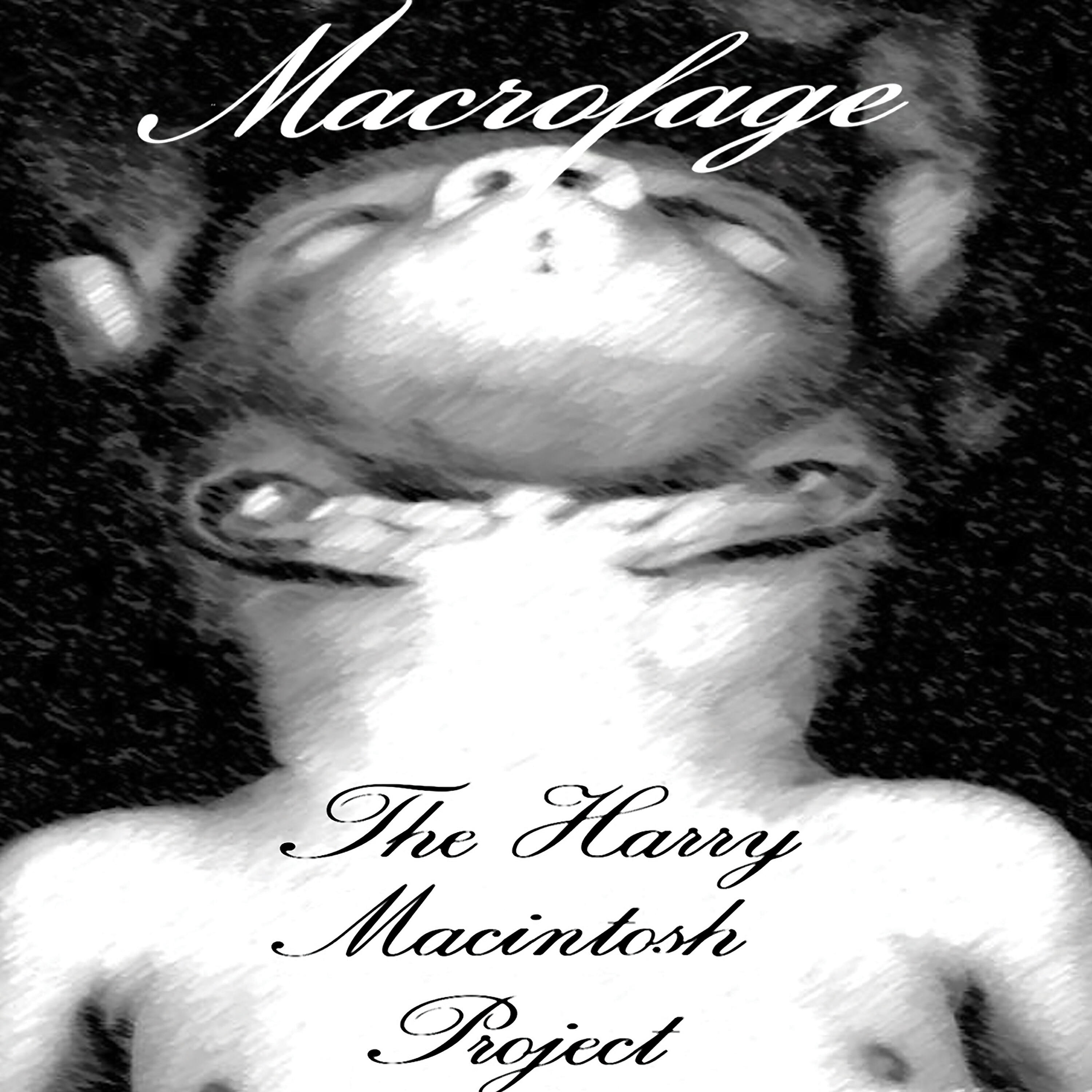 The Harry Macintosh Project - Dissection for Beginners