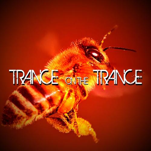 Постер альбома Trance On The Trance