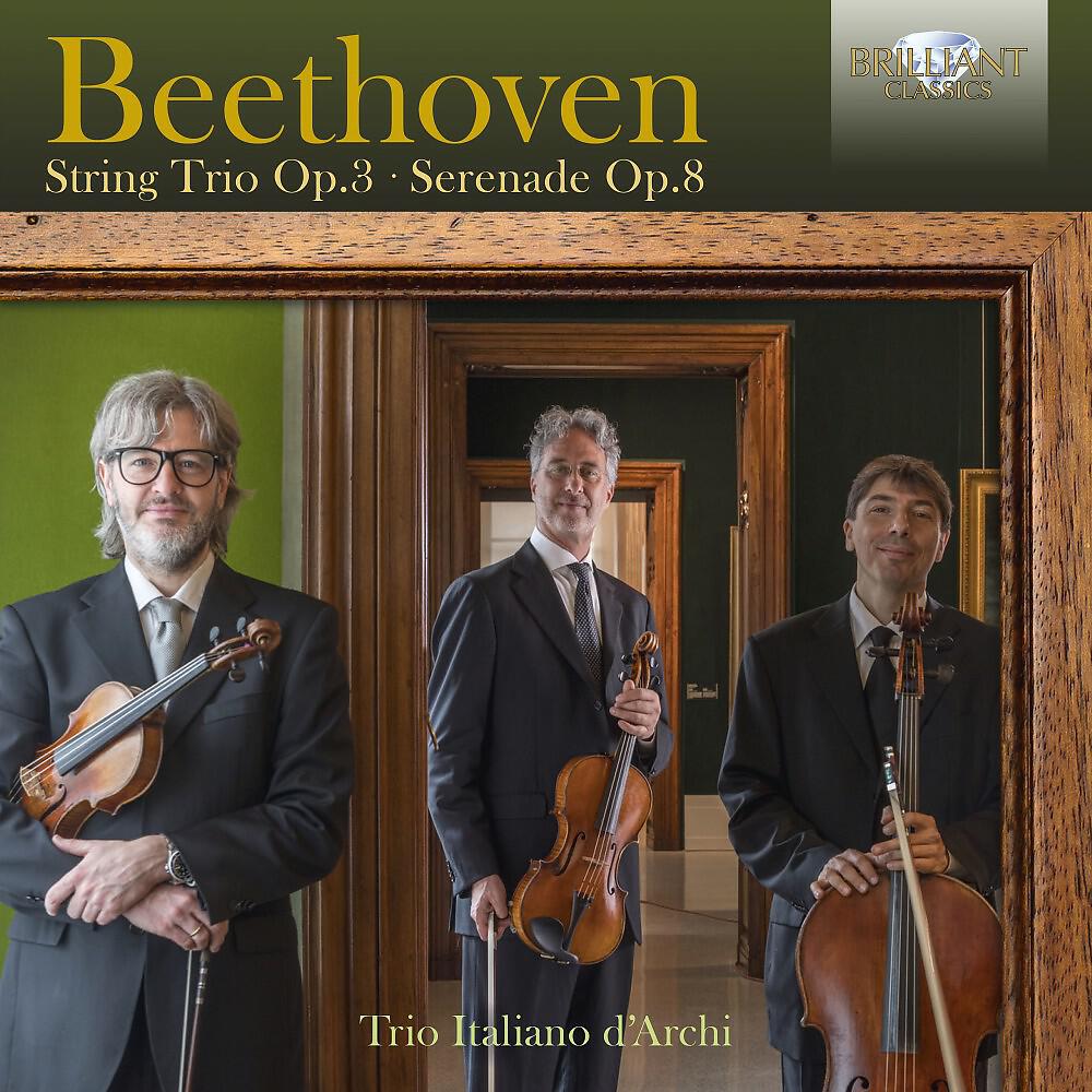 Trio Italiano d'Archi - String Trio in E-Flat Major, Op. 3: I. Allegro con brio