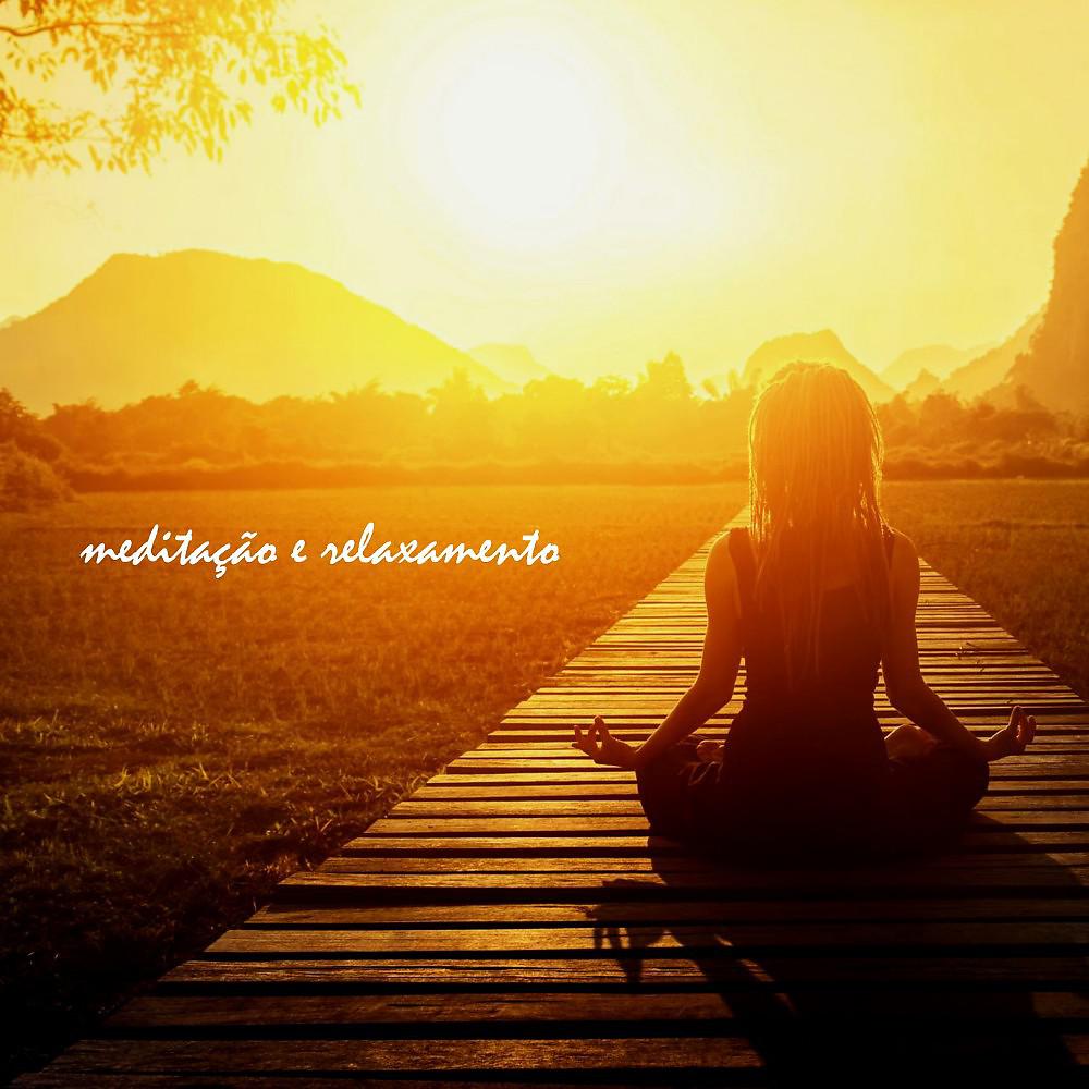 Постер альбома Meditação e Relaxamento