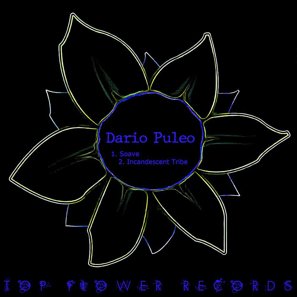 Dario Puleo - Incandescent Tribe