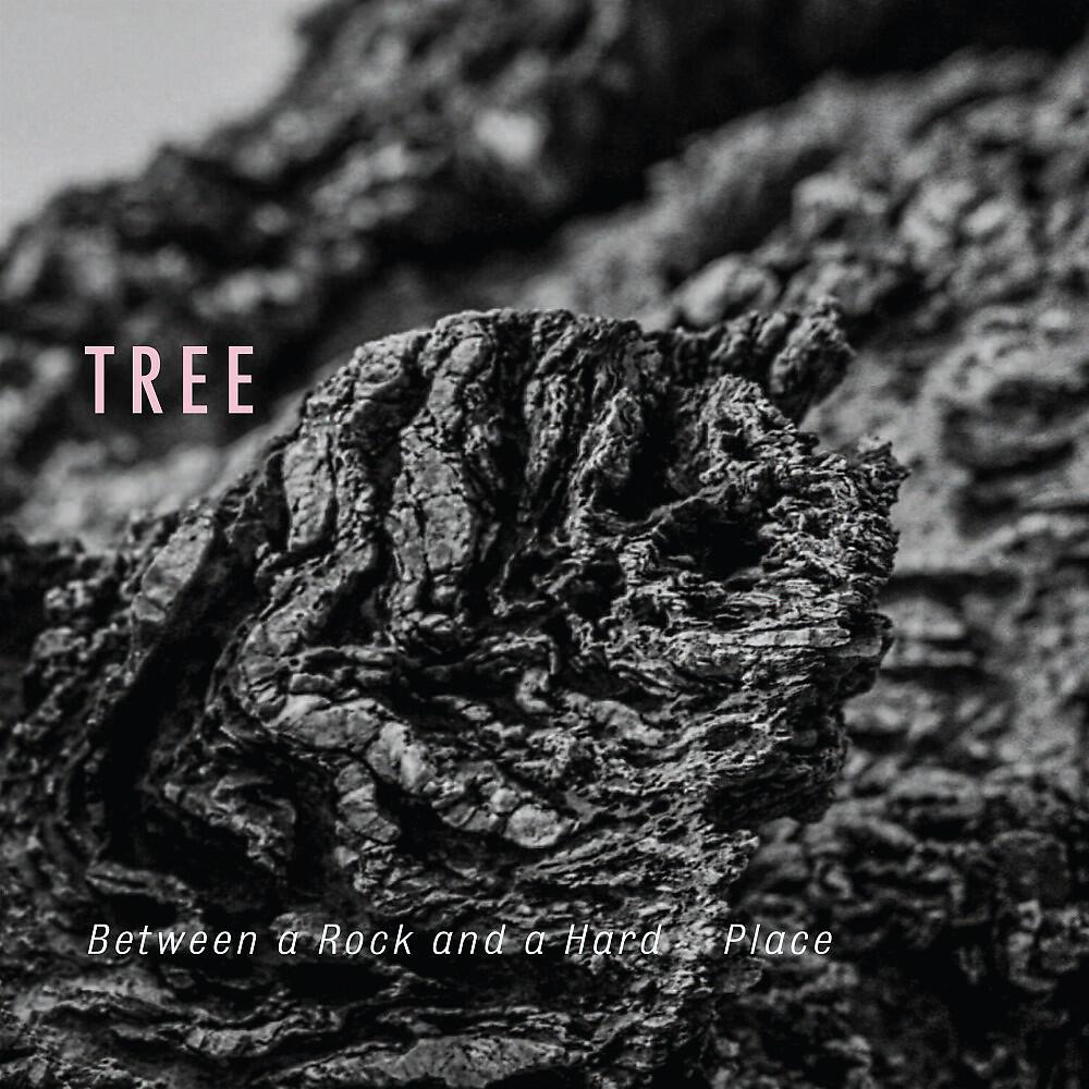 Tree - Hannes