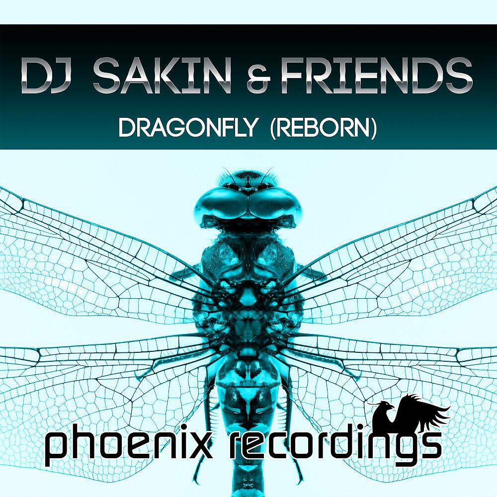 DJ Sakin - Dragonfly (Madwave Remix Instrumental)