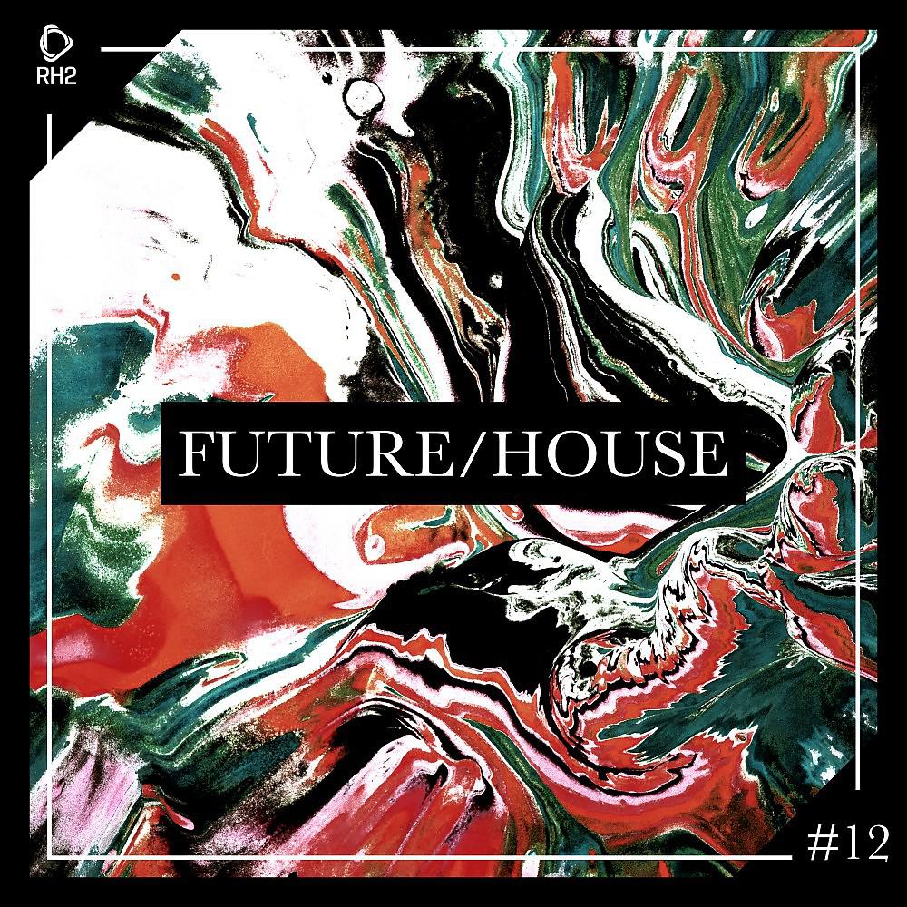 Постер альбома Future/House #12