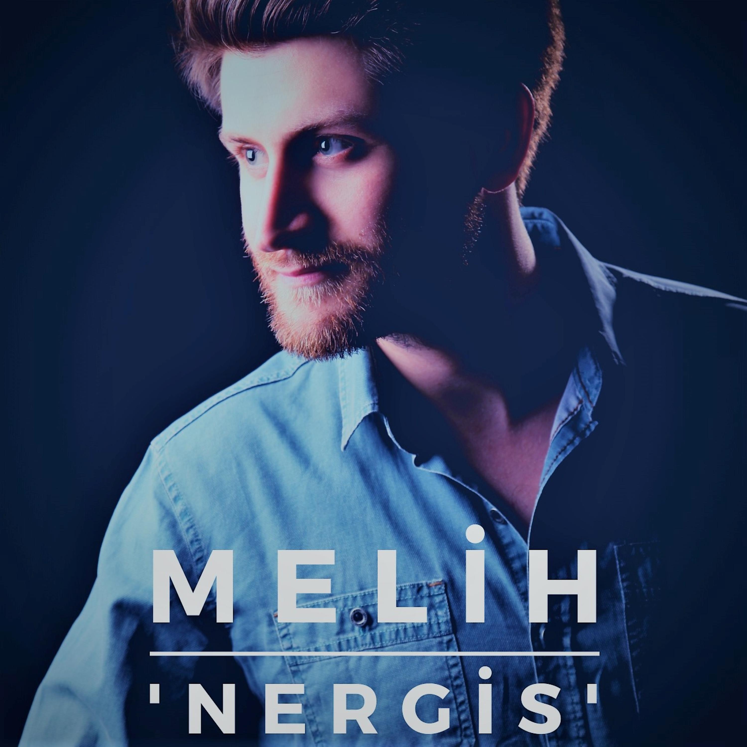 Постер альбома Nergis