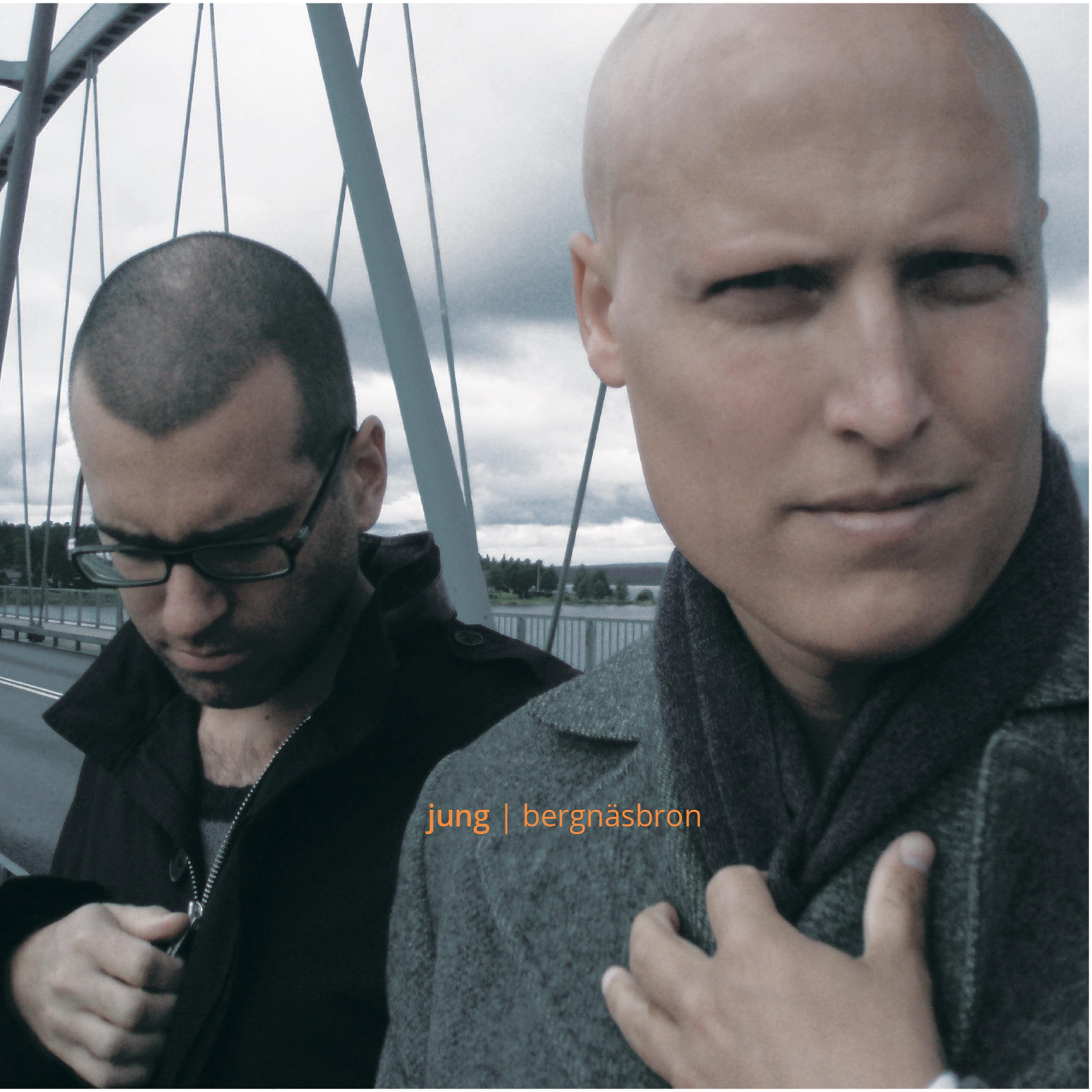 Постер альбома Bergnäsbron