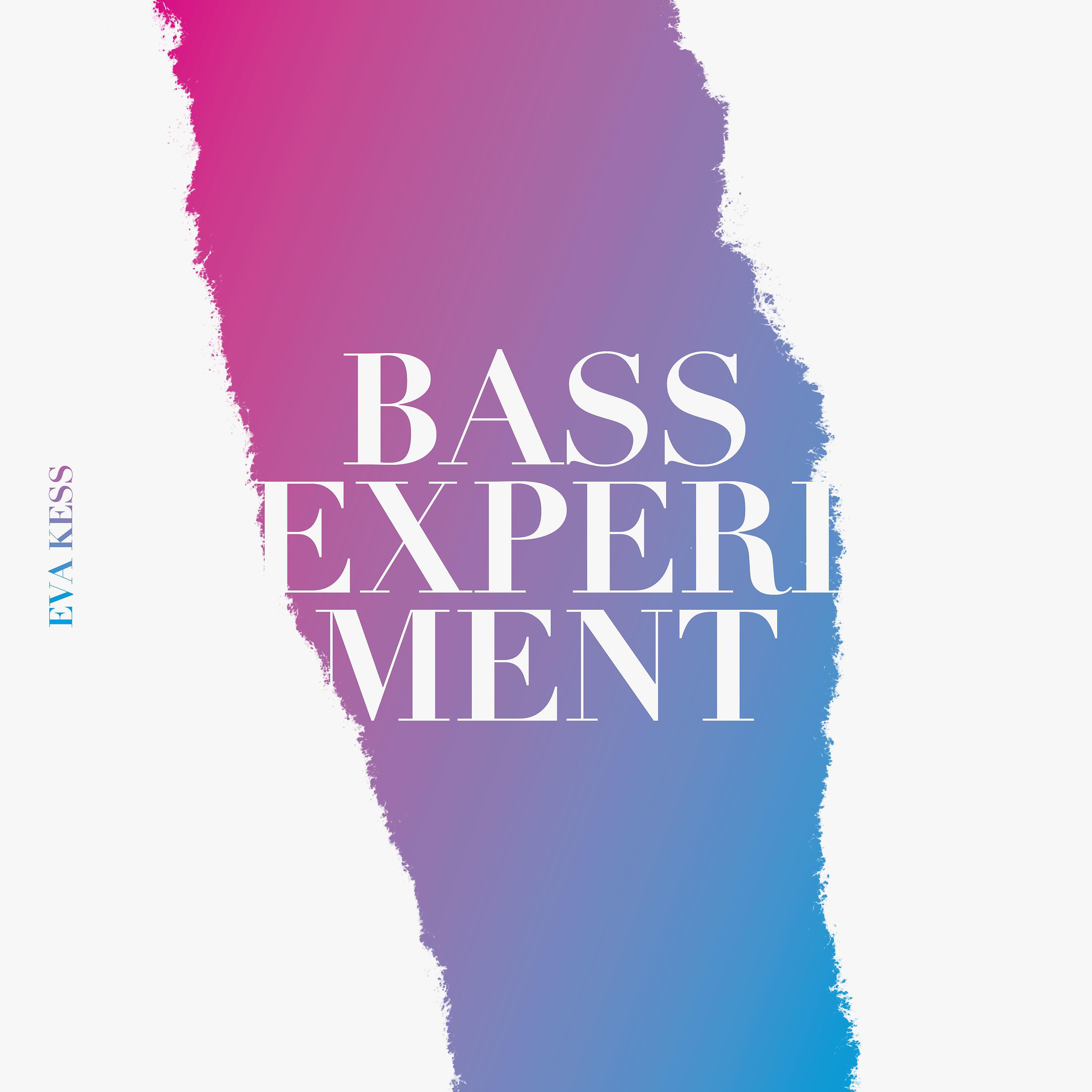 Постер альбома Bassexperiment