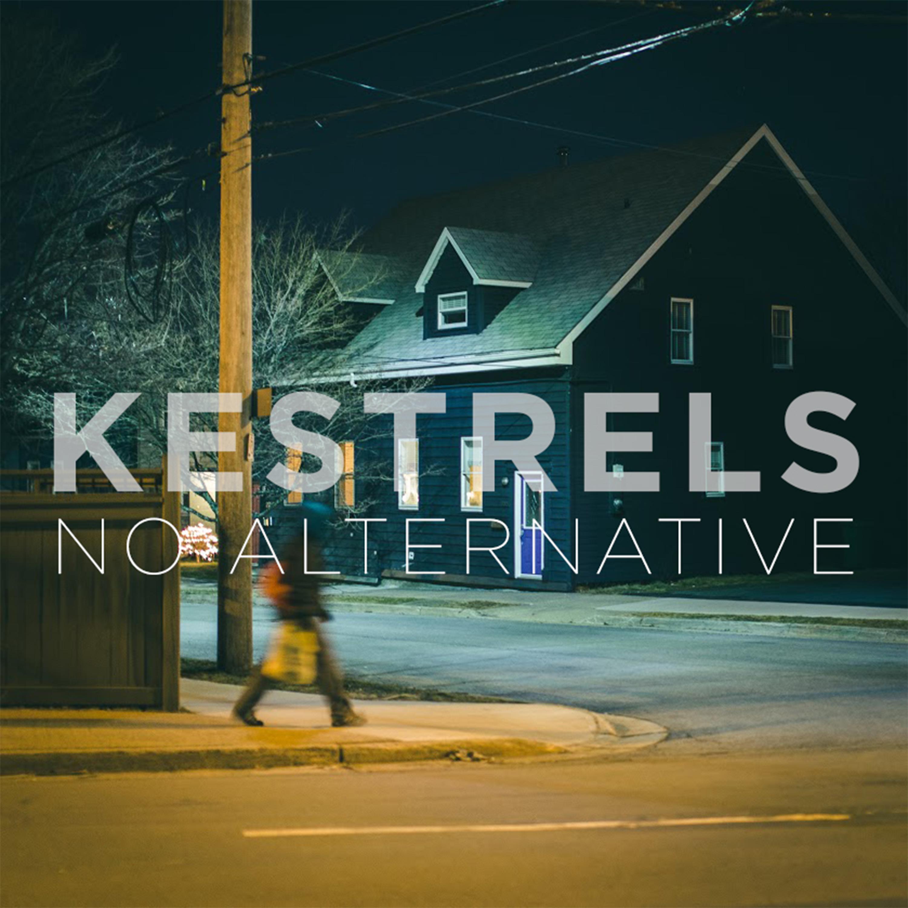 Постер альбома No Alternative