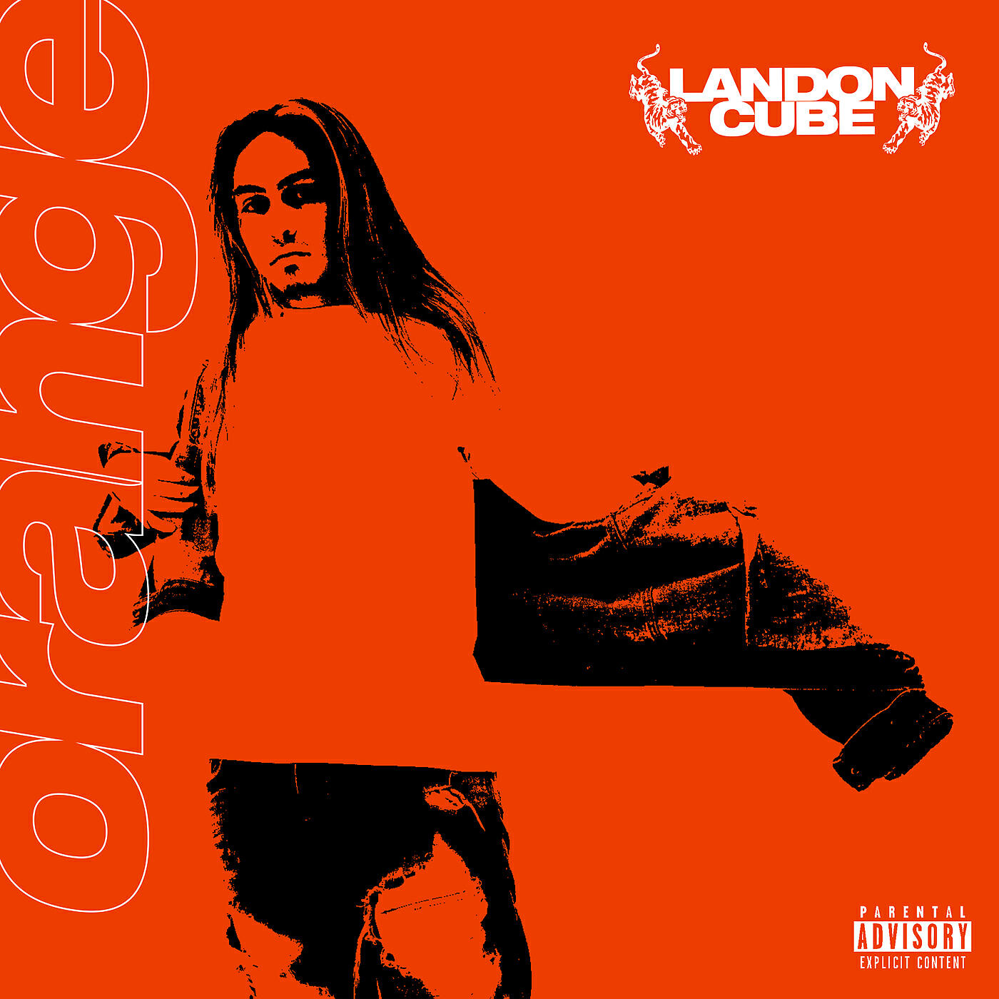 Landon Cube - 20