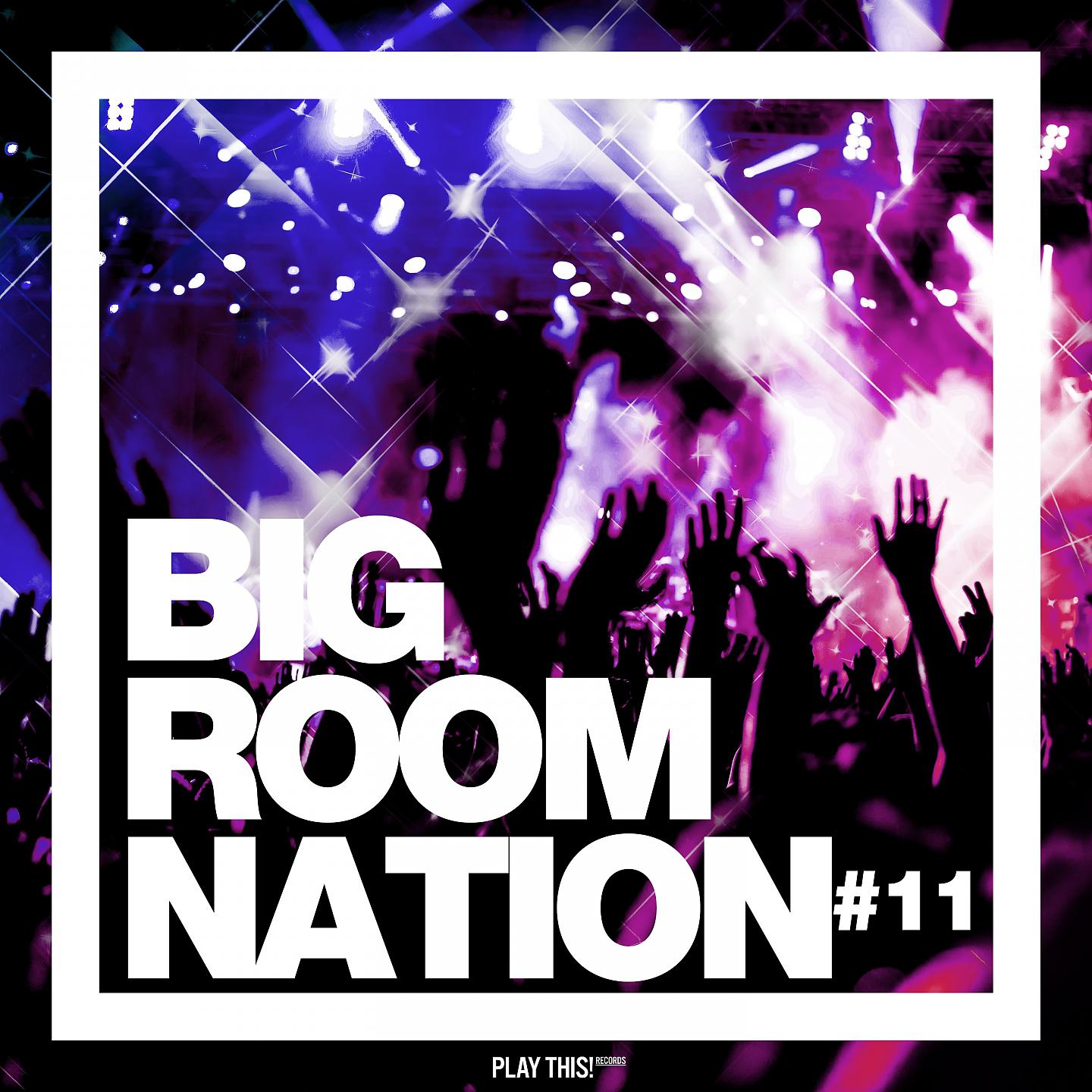 Постер альбома Big Room Nation, Vol. 11