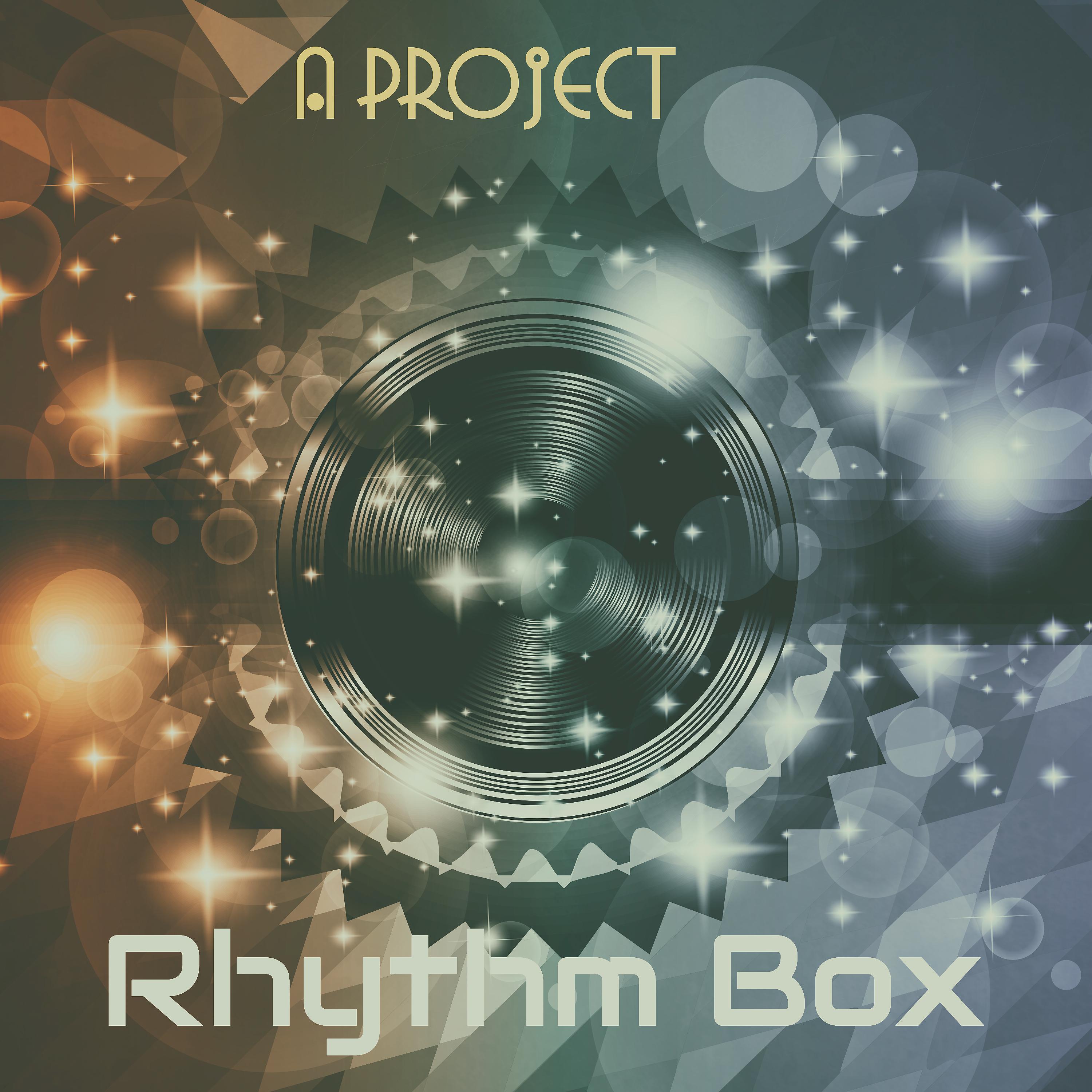 Постер альбома Rhythm Box